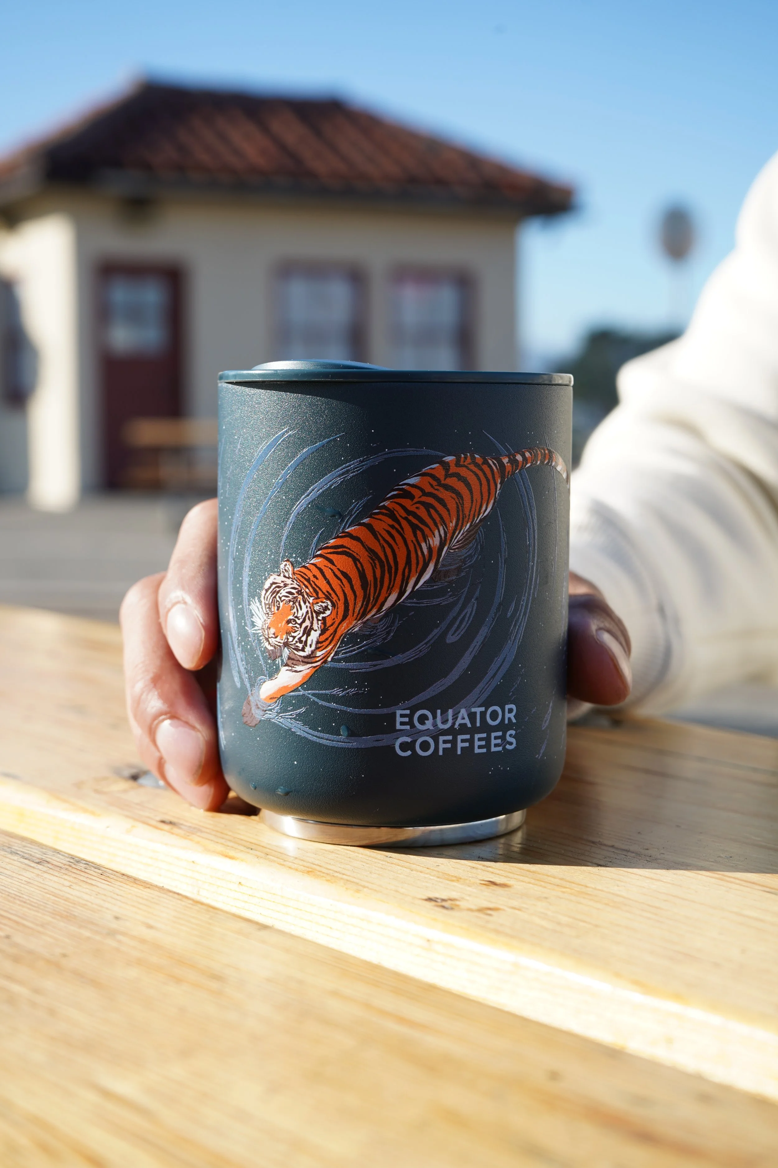 2025 Equator Coffees-North Star Mug 002.JPG