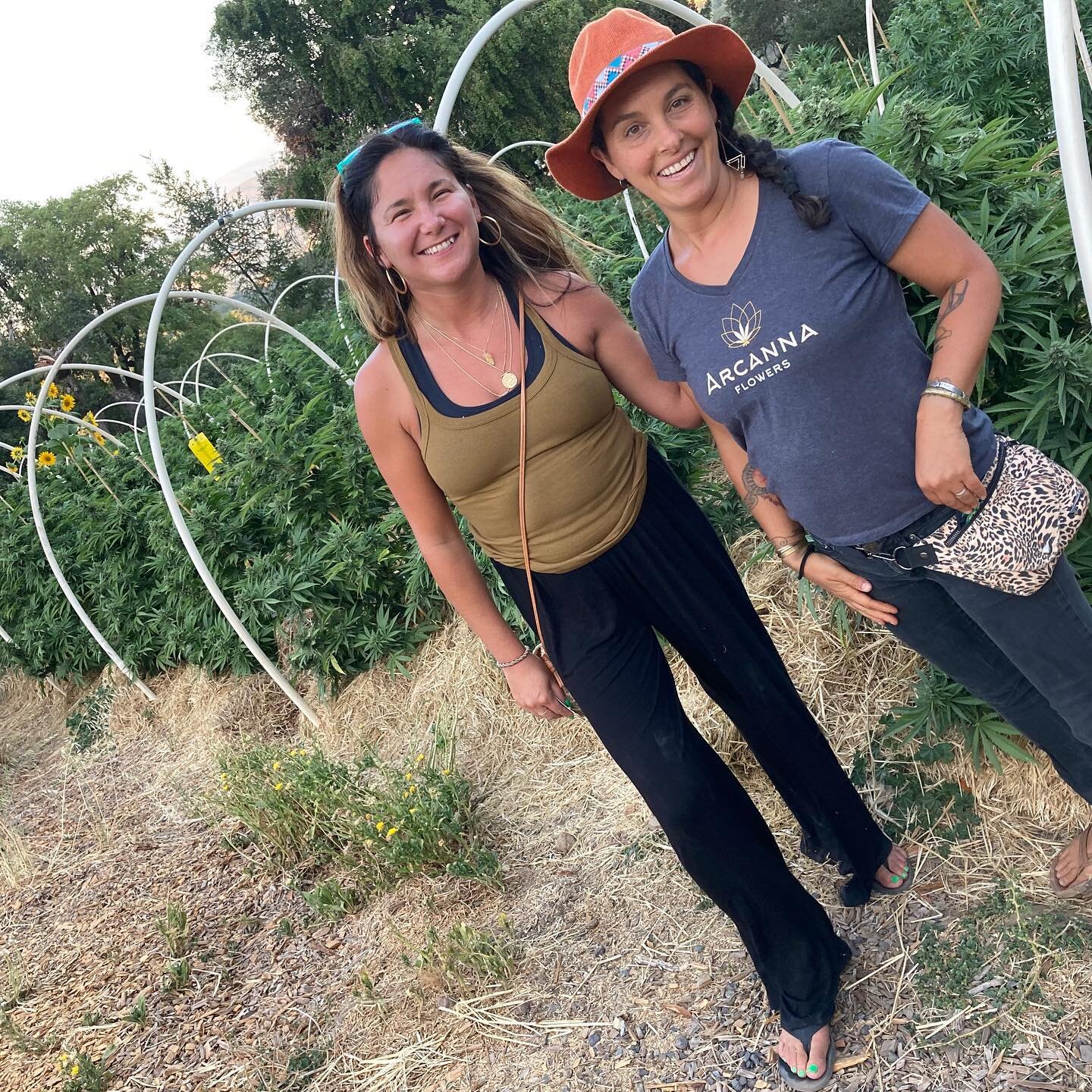 Lovely visit with @emehtleaf with @californialeafmag and @empress.nasha the other evening! Quick tour of the garden in its prime! Thanks for the love!
