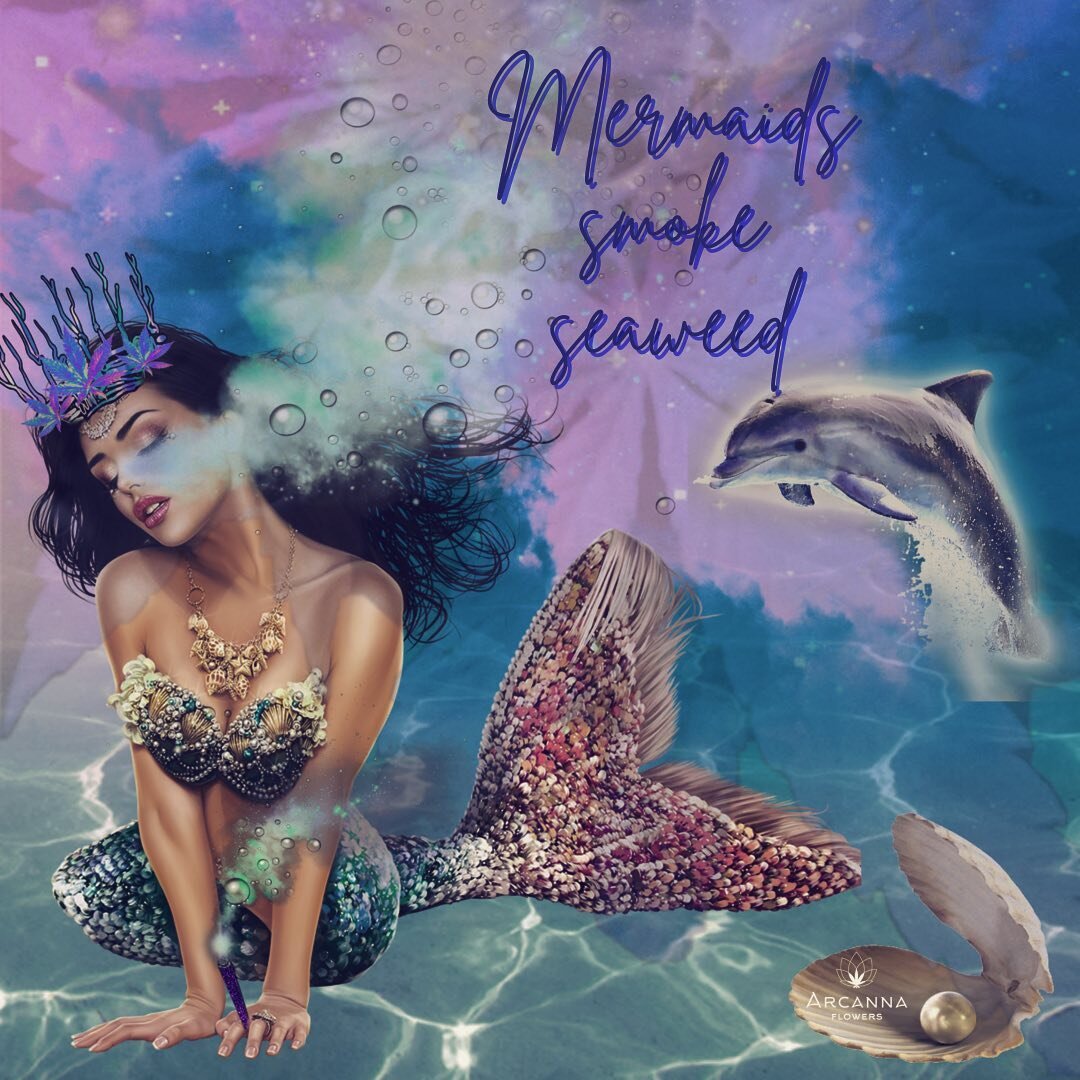 What else would they smoke? Mermaids need deep relaxation, inspiration and to take a load off too! 🧜&zwj;♀️ 🐠 🐬 🌊 #mermaidssmokeseaweed🐚 #betterlivingthroughcannabis