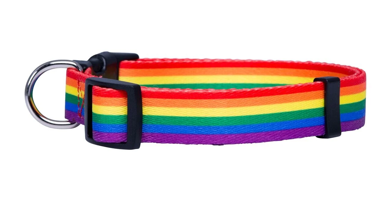 Rainbow Flag Collar 2 .jpg