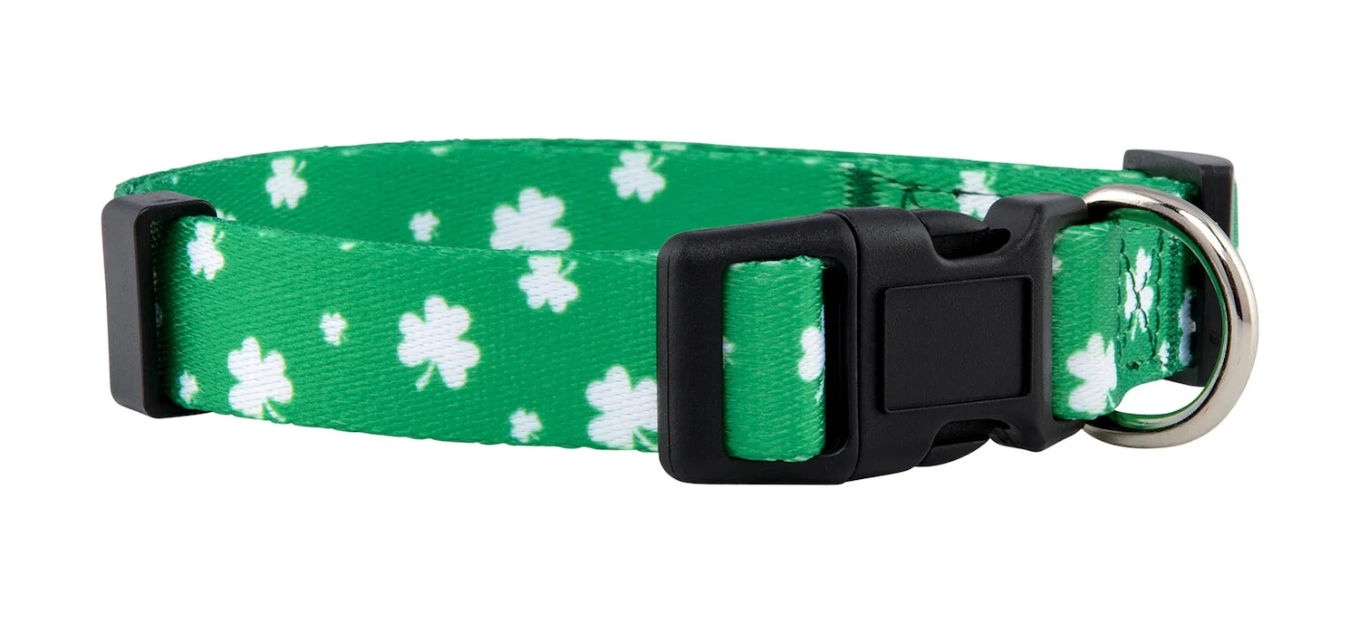 Luck Shamrock 1 Amazon Listing.jpg