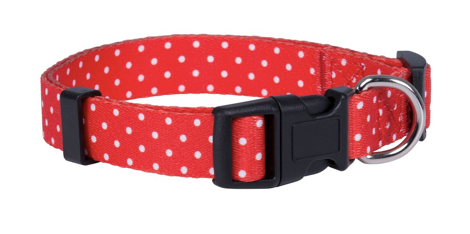 Red Polka 1 .png