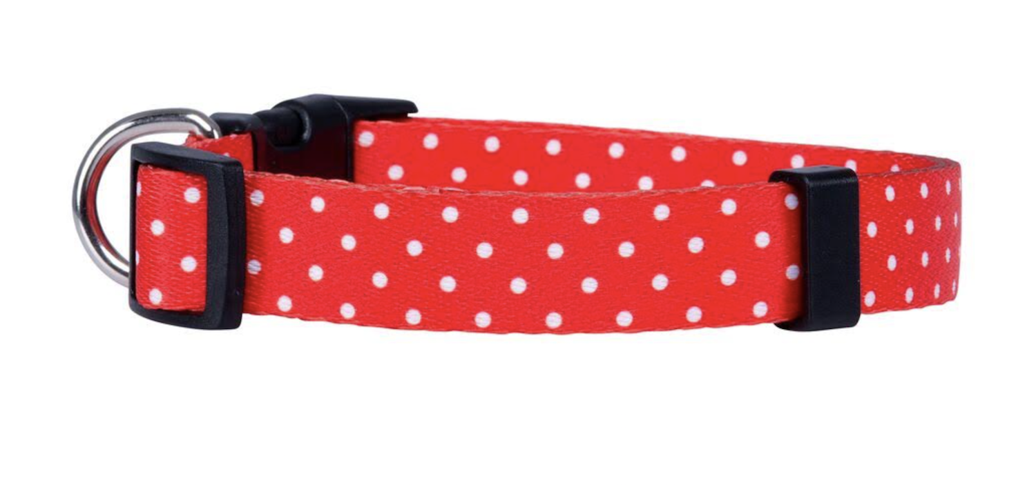 Red Polka 2.png