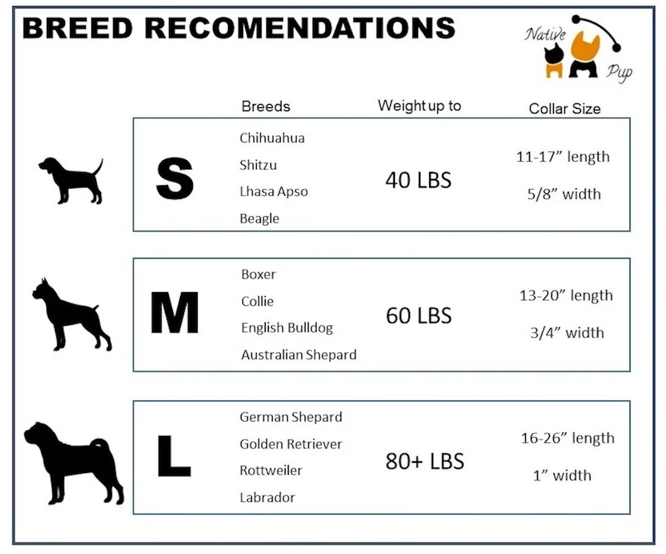 Native Pup Size Chart.jpg