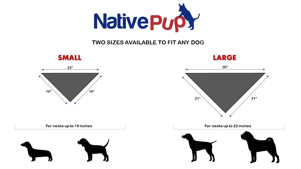 Bandana Size Chart .jpg