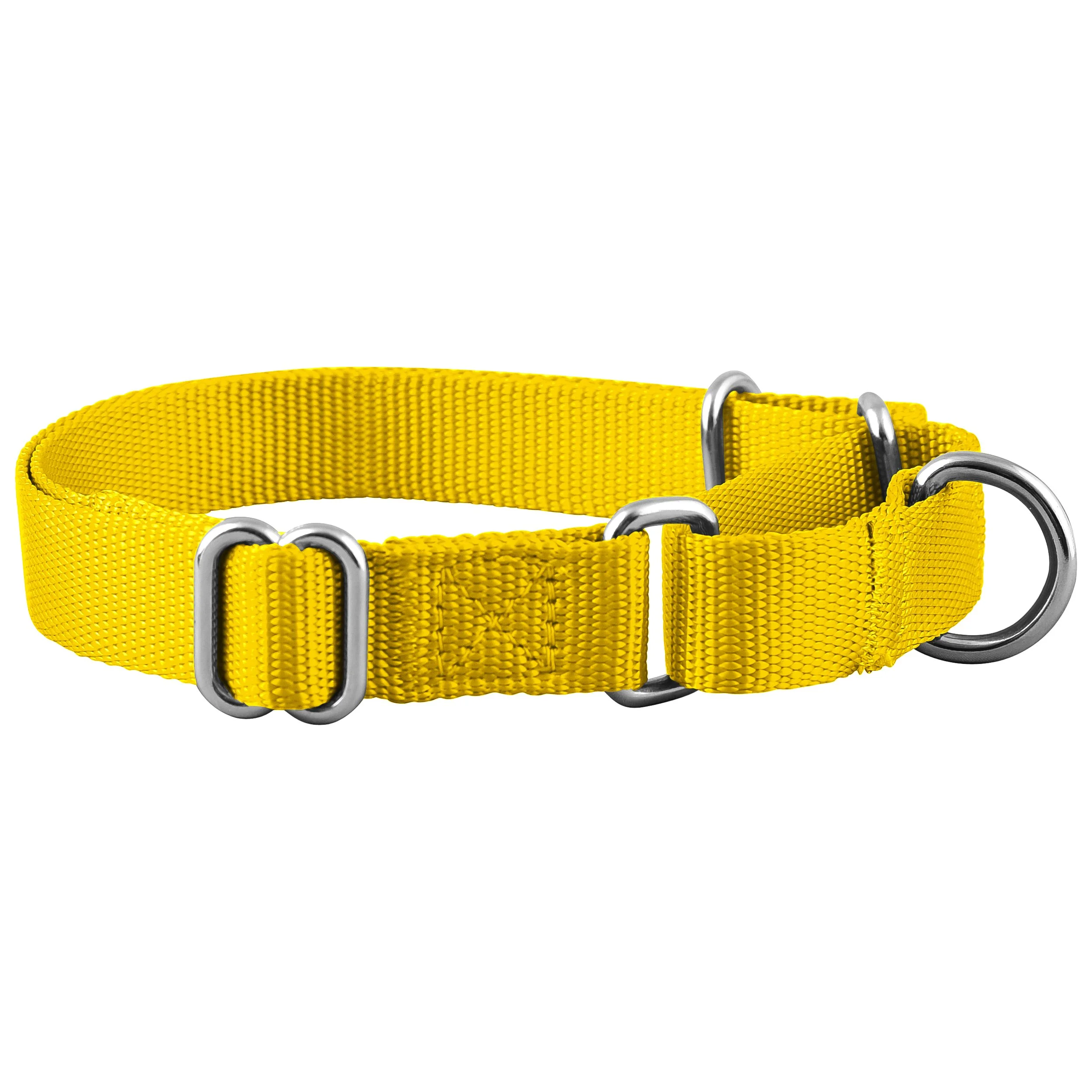 Yellow Martingale 2.jpg