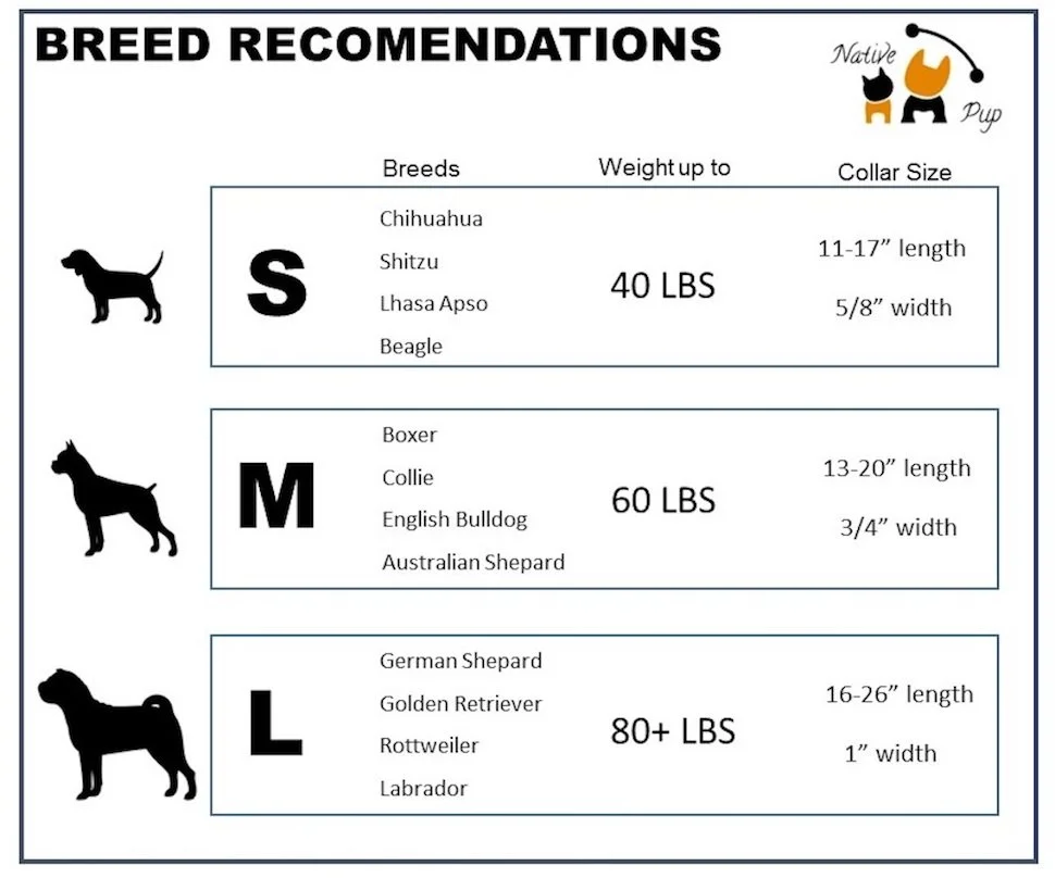 Native Pup Size Chart.jpg