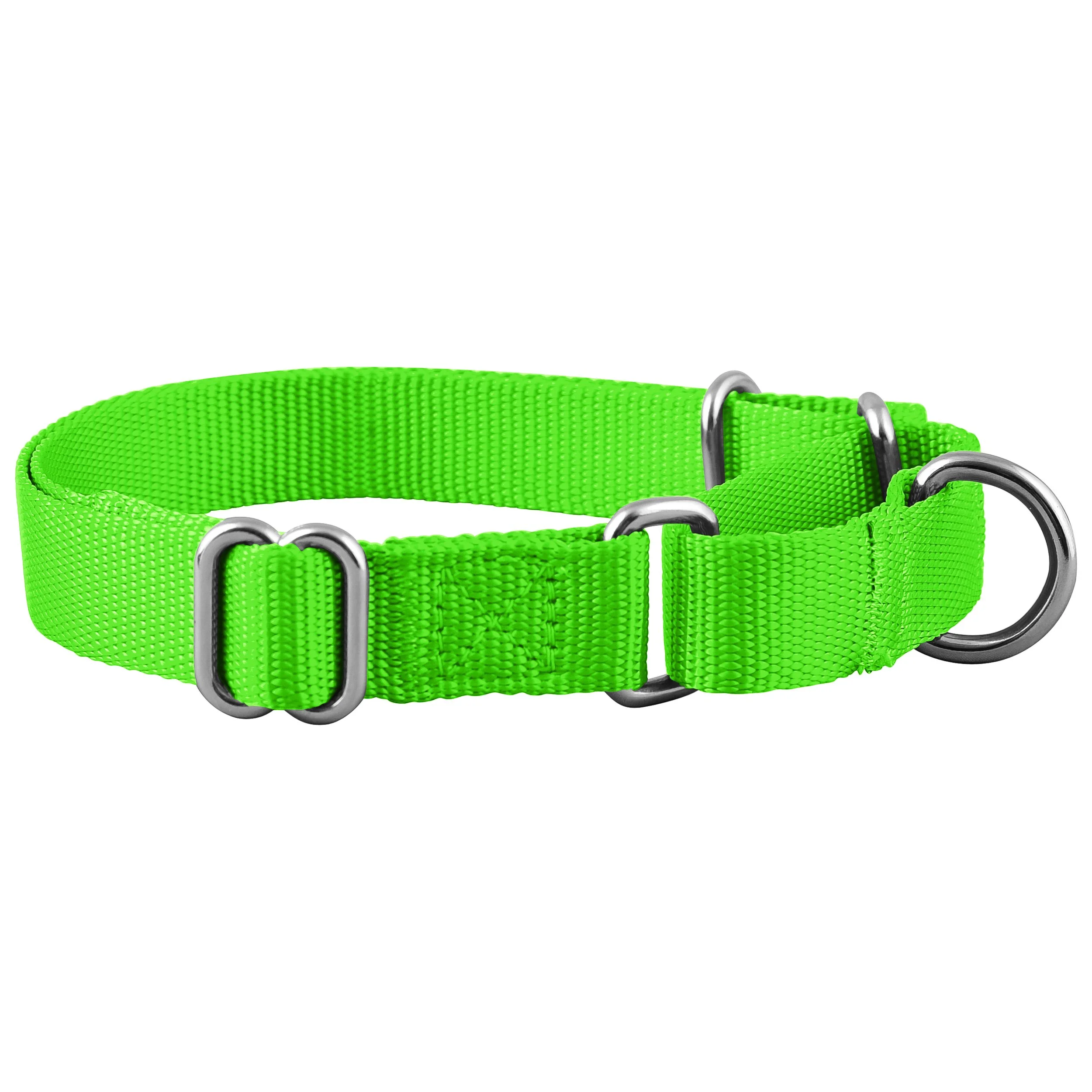 Neon Martingale 2.jpg