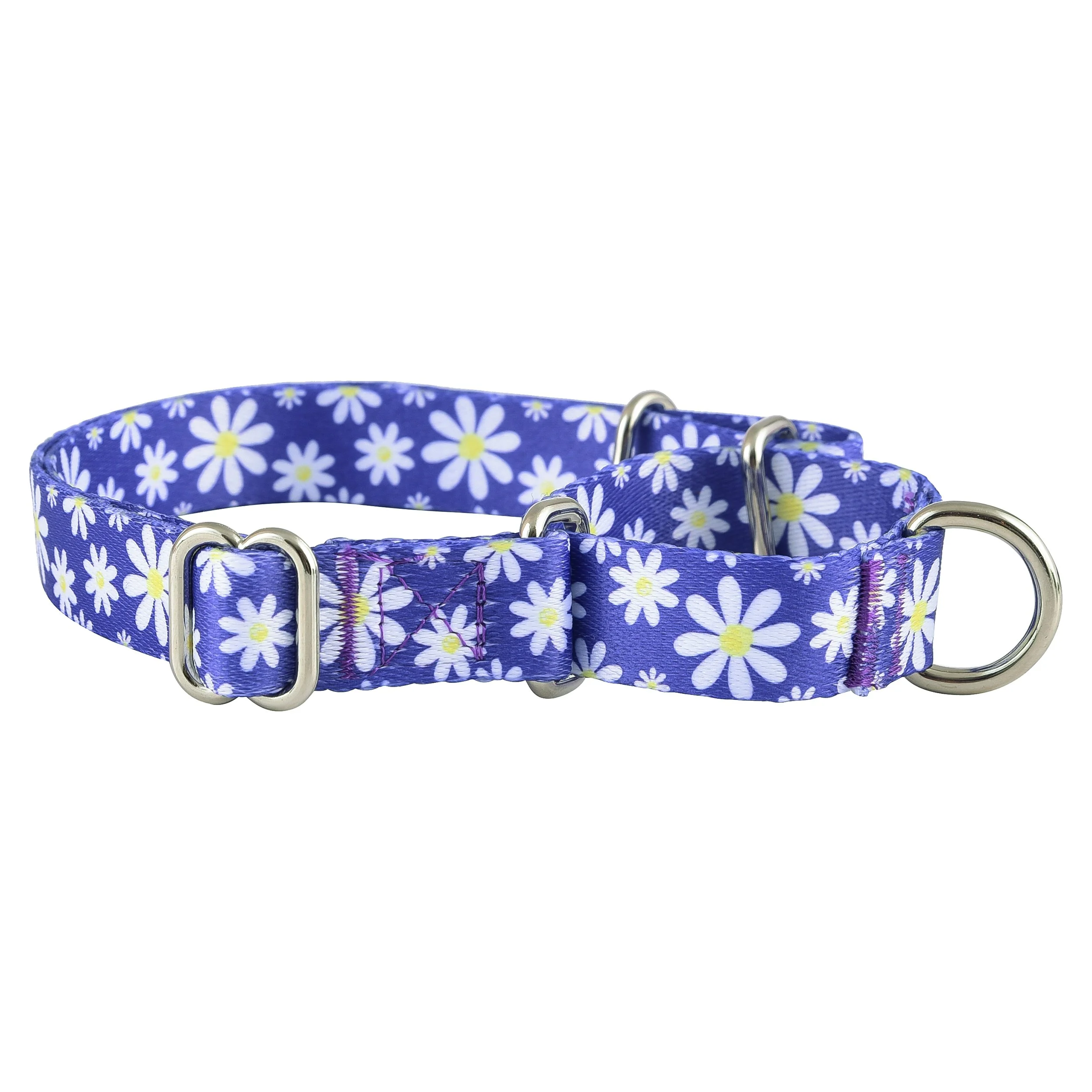 Daisy Martingale 1.JPG