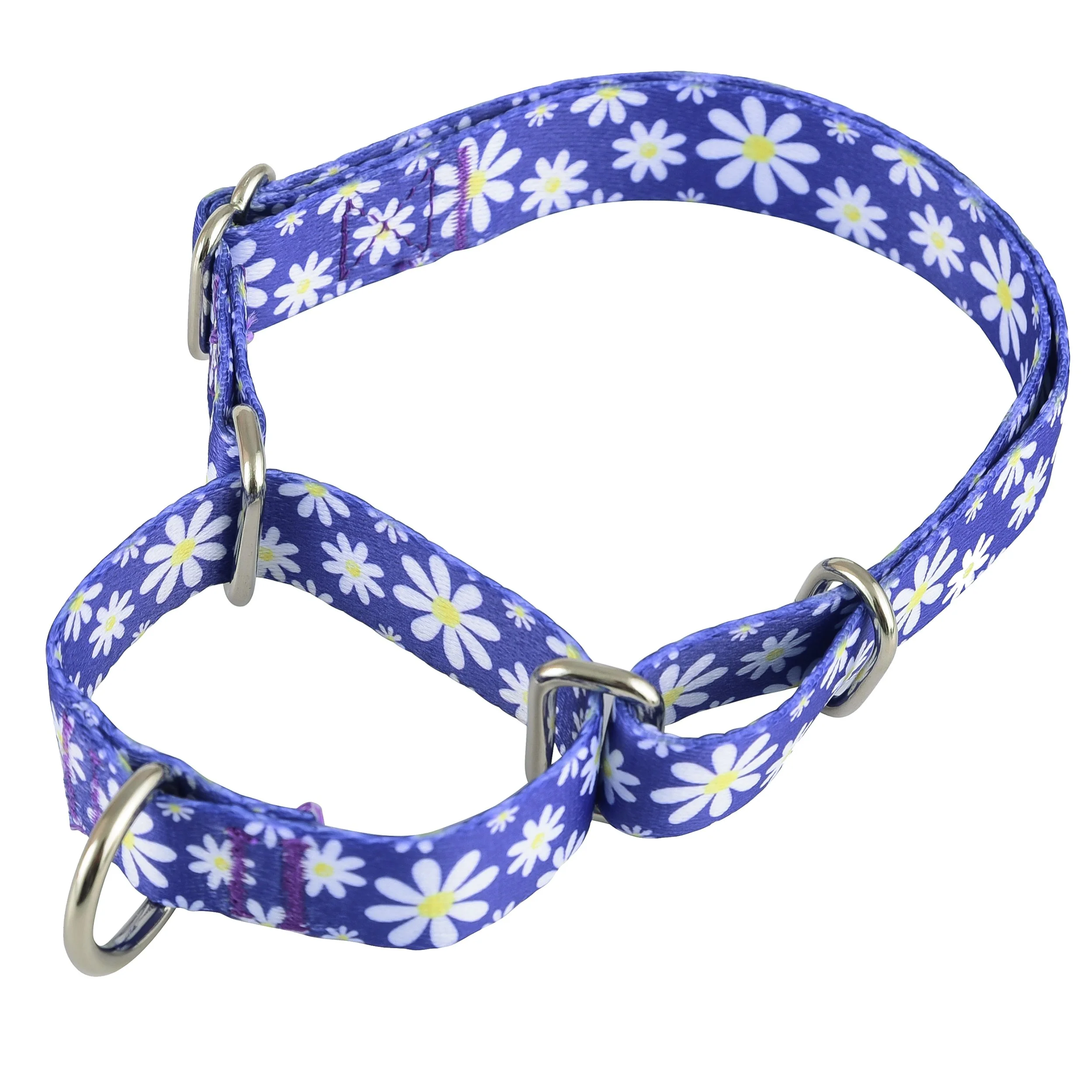 Daisy Martingale 2.JPG