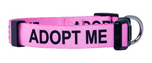Adopt Me Pink.jpg