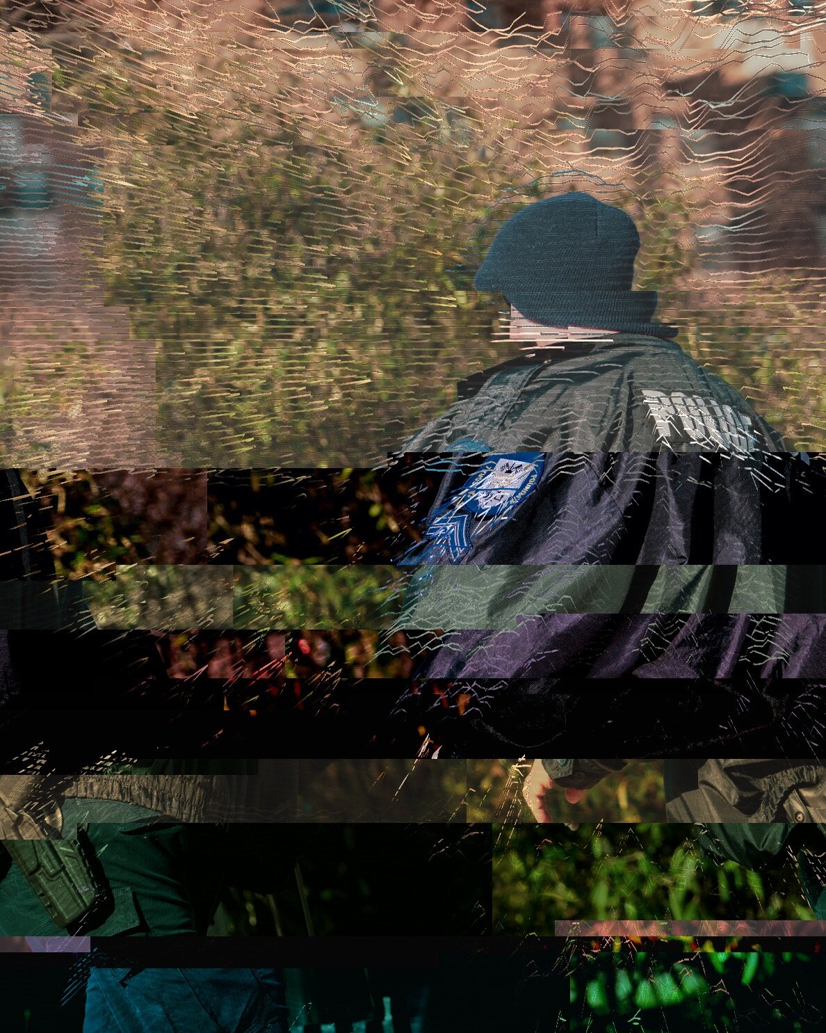 B86F2CB6.jpeg