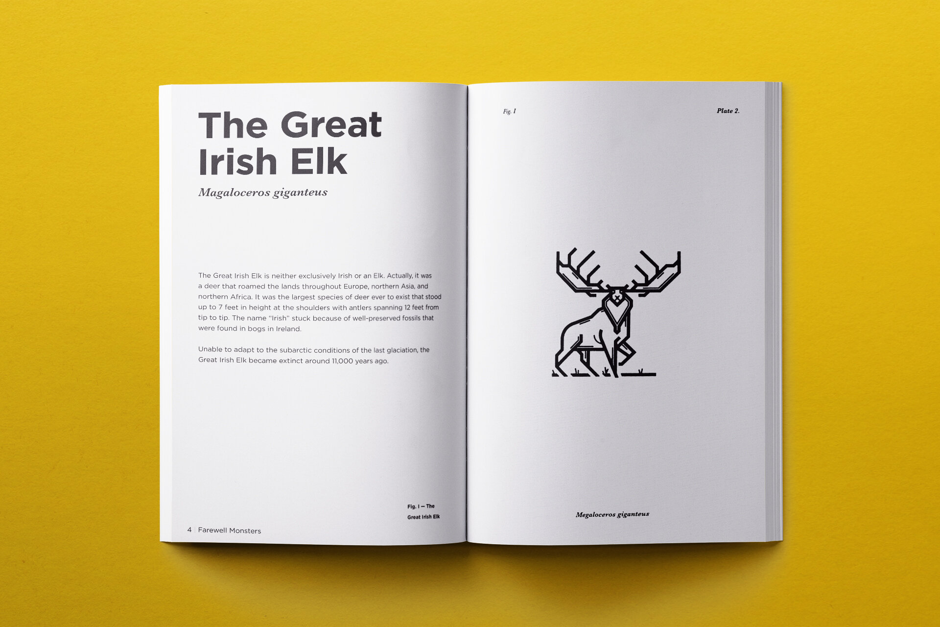 fwm_openzine_spread_2.jpg