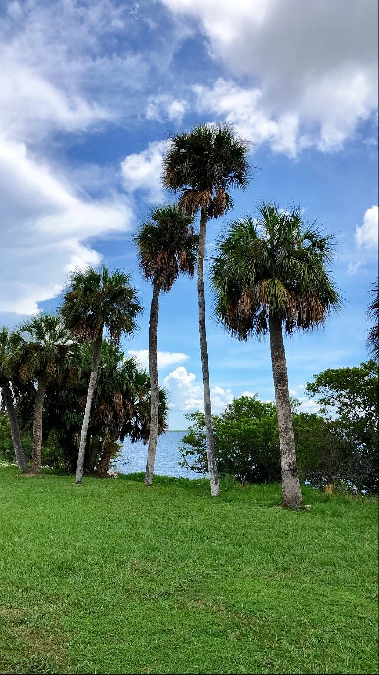 The Ultimate Tampa / St. Pete Guide