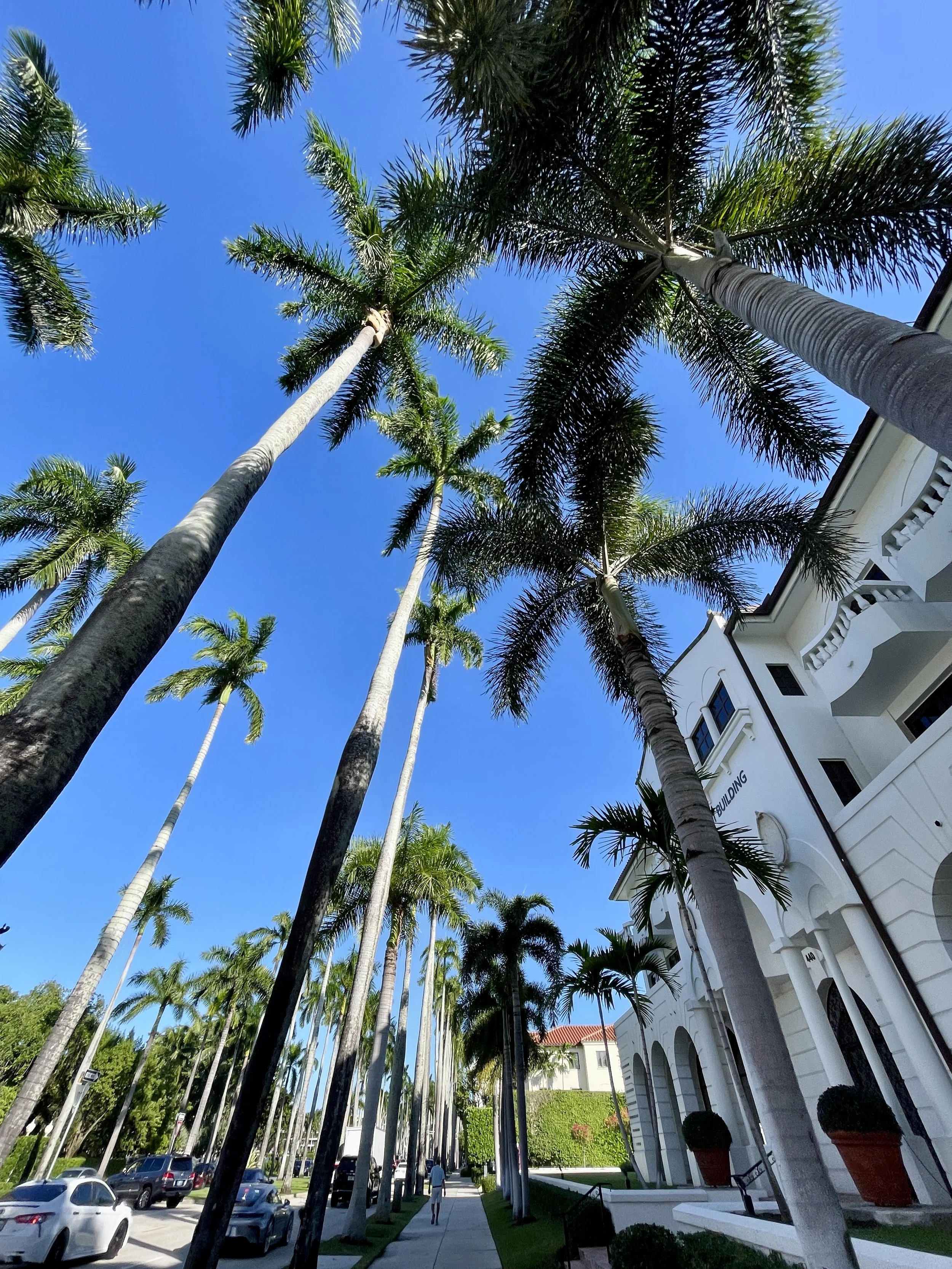 West Palm Beach Guide
