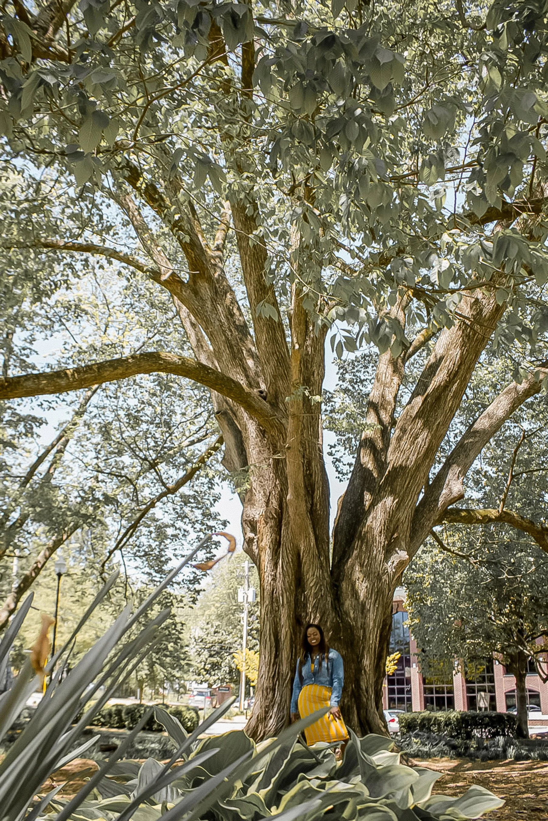 Lilian Webb Park Portrait Photography- Ascentium Media Grloup, LLC (Norcross, GA)-0226-Edit.jpg