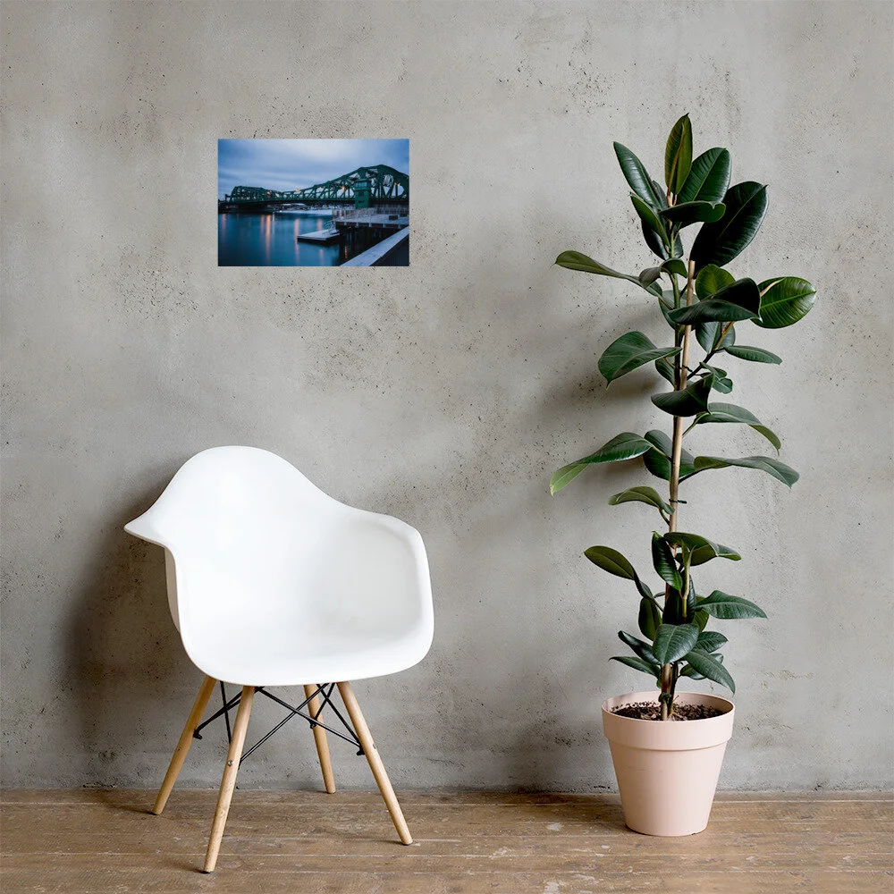 enhanced-matte-paper-poster-(in)-12x18-lifestyle-1-60a1cafb3abb5.jpg