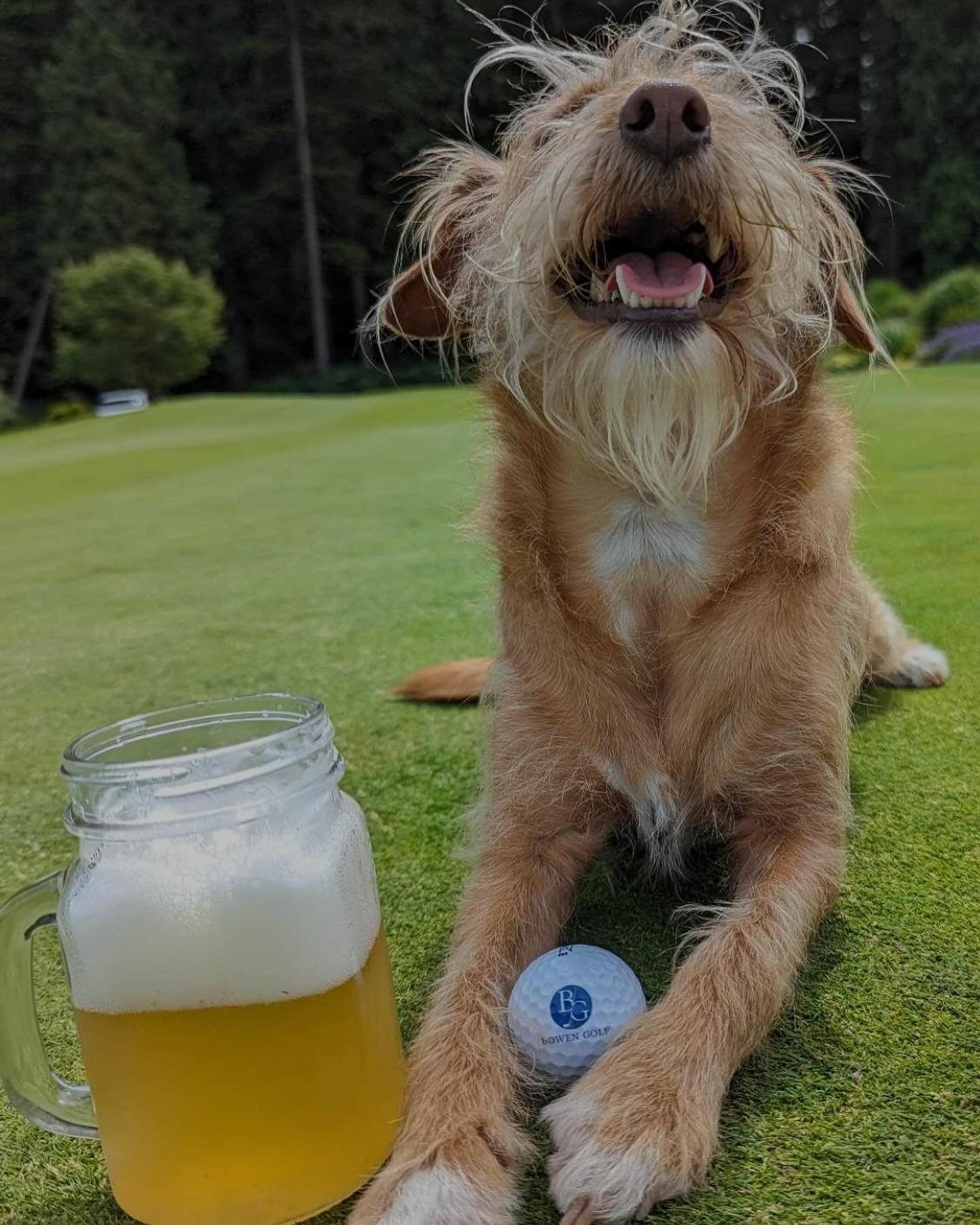 To celebrate the conclusion of the Masters Tournament and in alignment with the prestigious green blazer prize, we&rsquo;ve decided to offer all our green cans at special prices! Enjoy 🍻

Moosehead Lager for $5
No Boats Pear Cider, Yellowdog Golden 