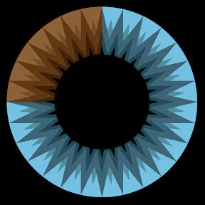3 Blue 1 Brown (Copy)