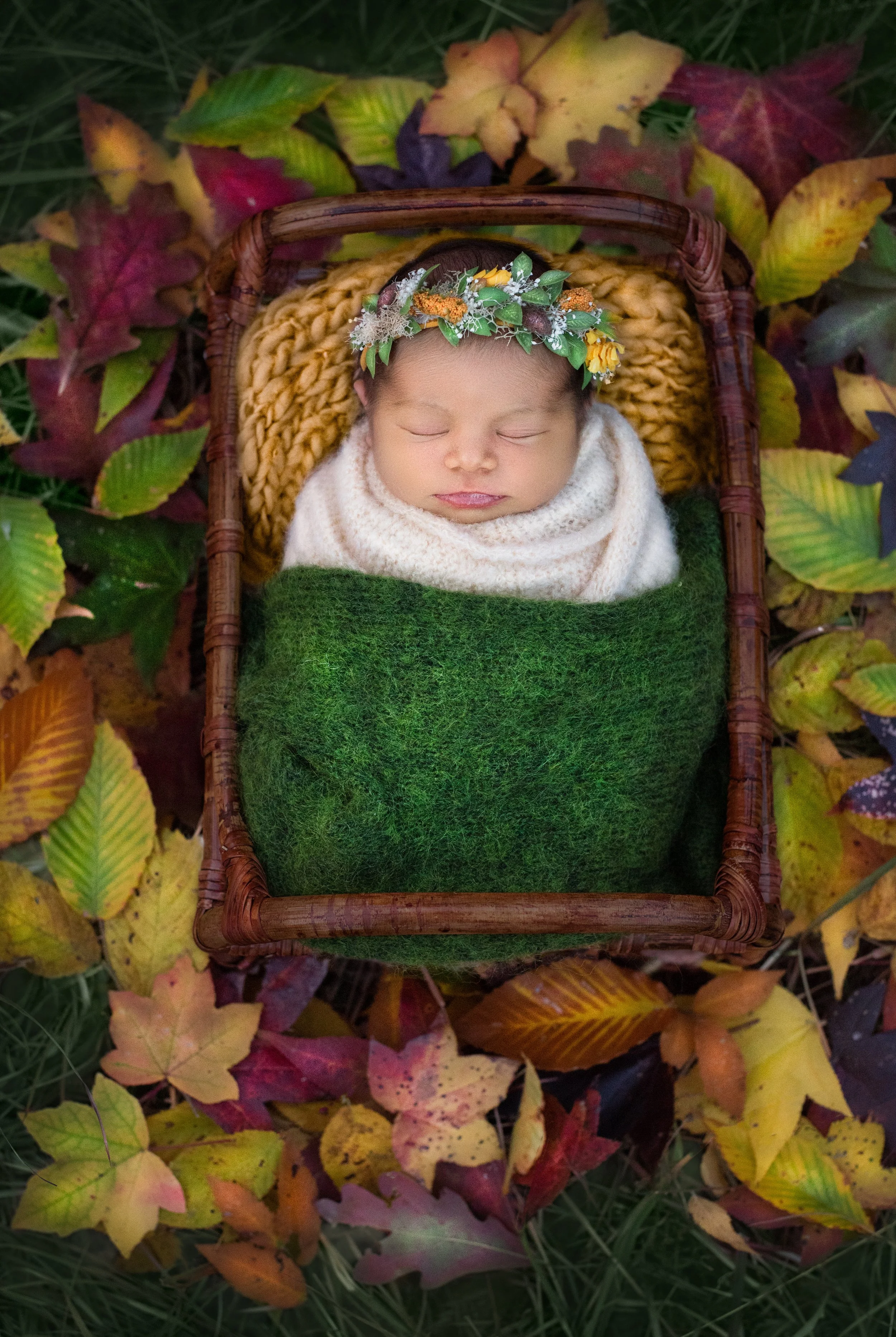 _DSC0354-Edit-Edit copy.jpg