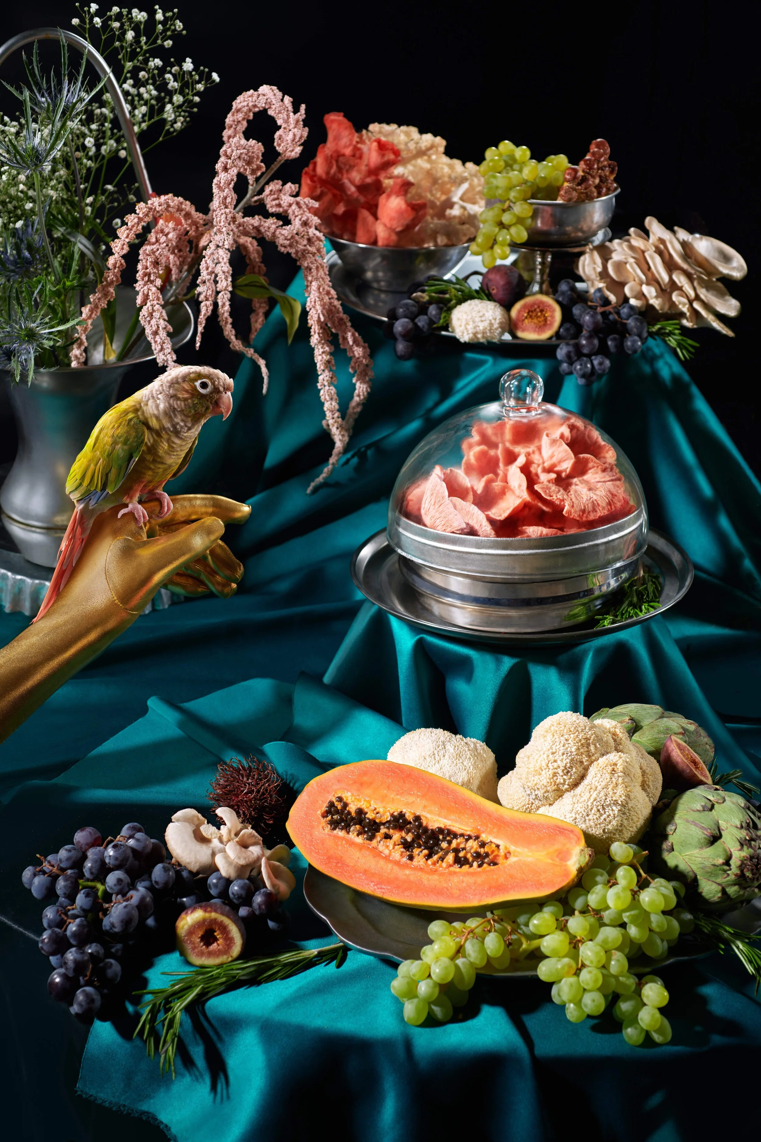 Shrooms 090520_8787-VerticalBird.jpg