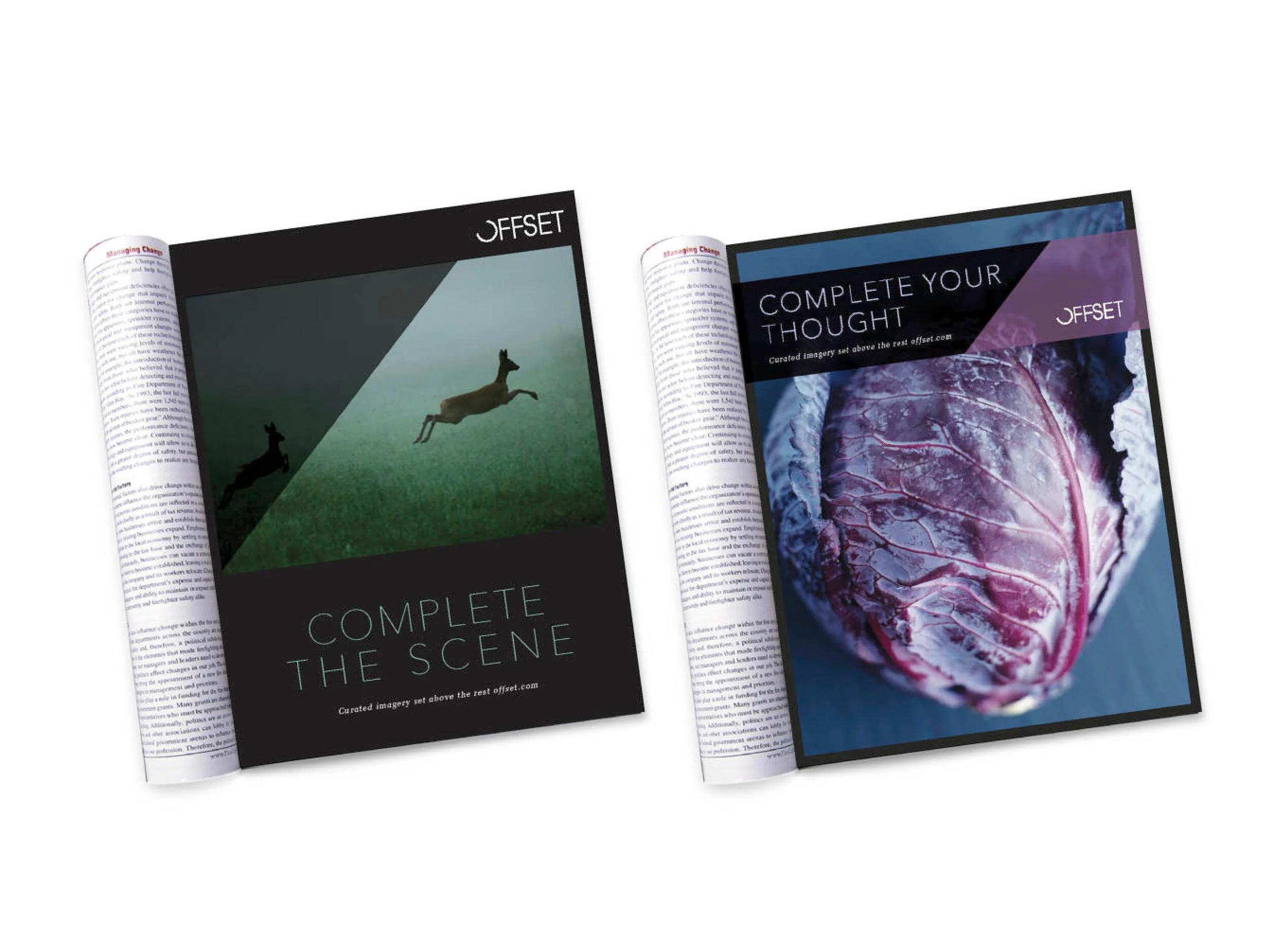 JH_website ready pages-45.jpg