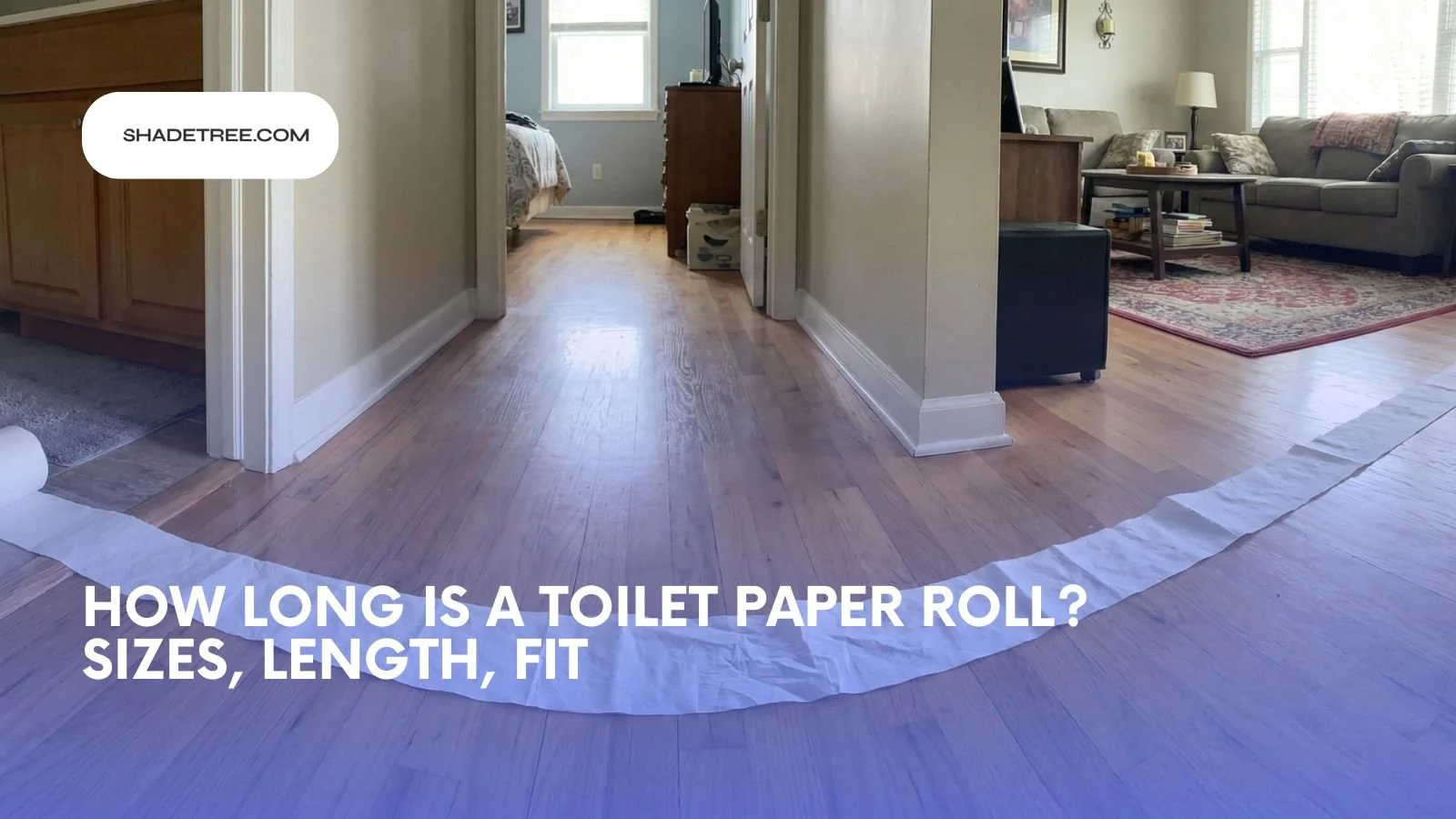 How Long Is a Toilet Paper Roll? Sizes, Length, Fit