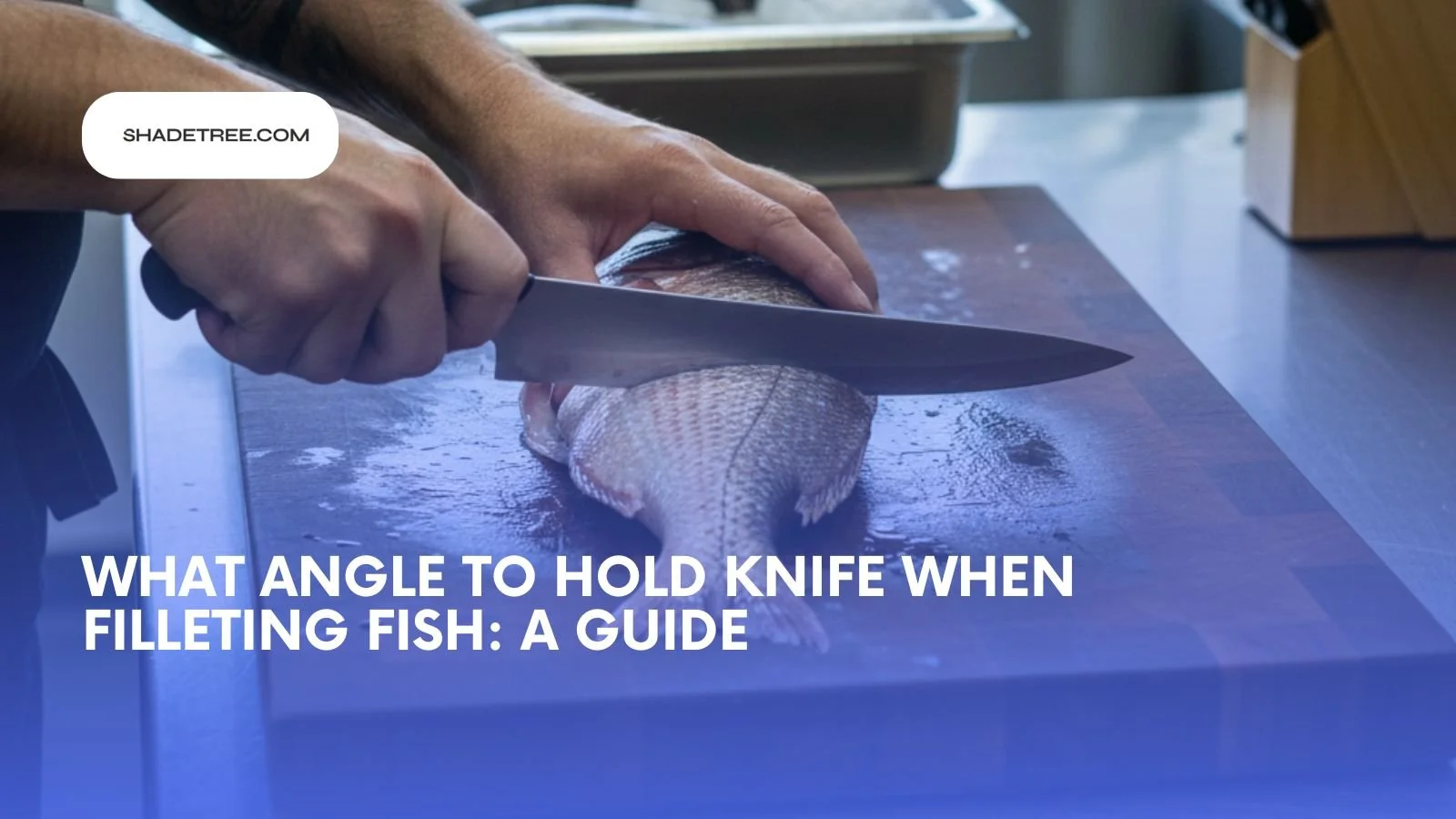 What Angle to Hold Knife When Filleting Fish (Pro Guide)