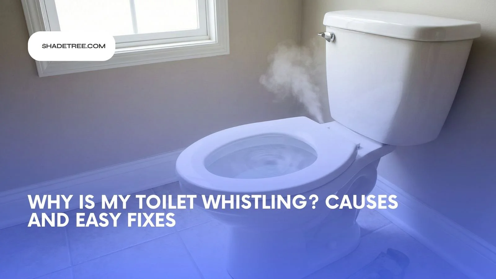 Why Is My Toilet Whistling? Causes, Risks, And Easy Fixes