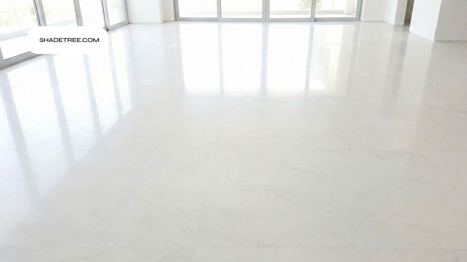 Can bed bugs live outside in empty rooms without beds or furniture