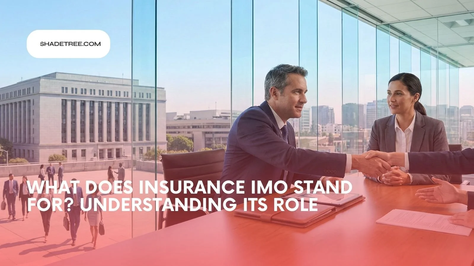 What Does Insurance IMO Stand For? Understanding Its Role