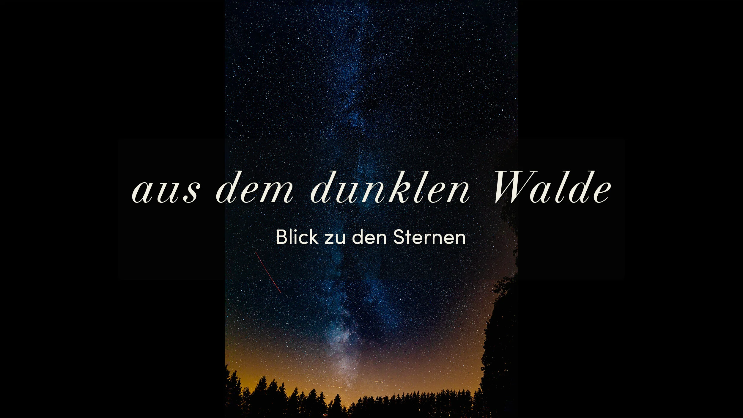 aus dem dunklen Walde