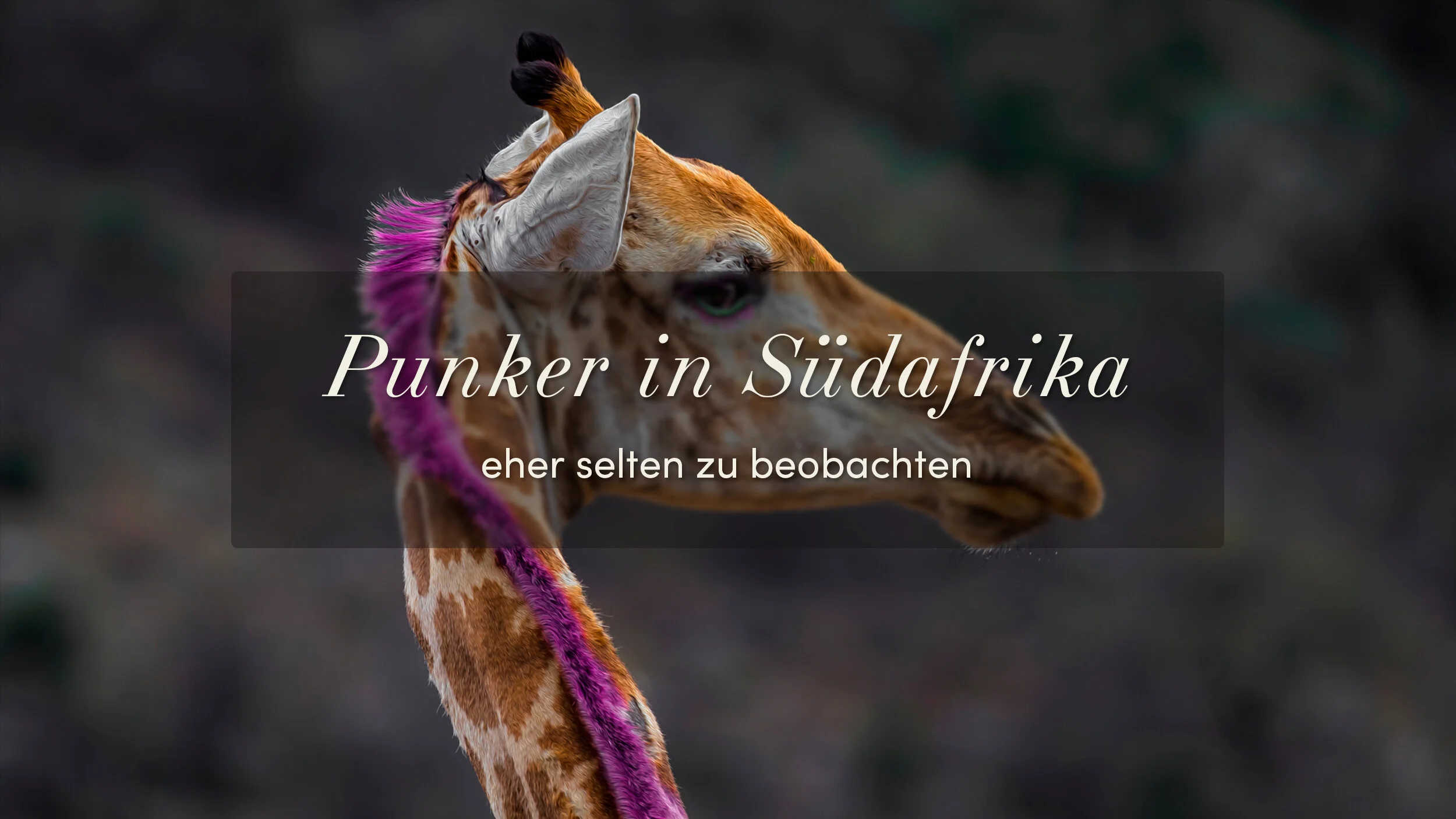 Punker in Südafrika