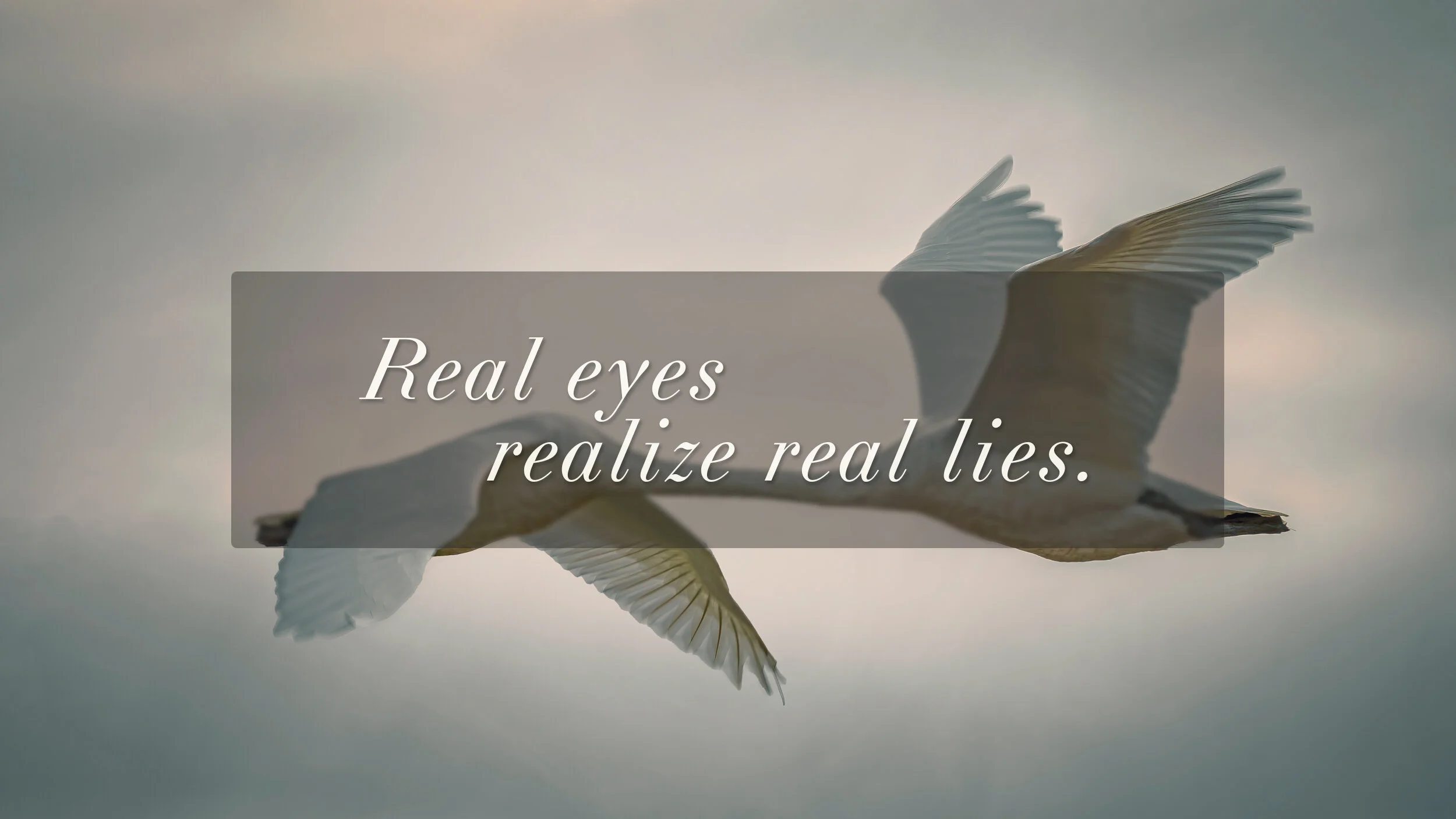 Real eyes realize real lies.