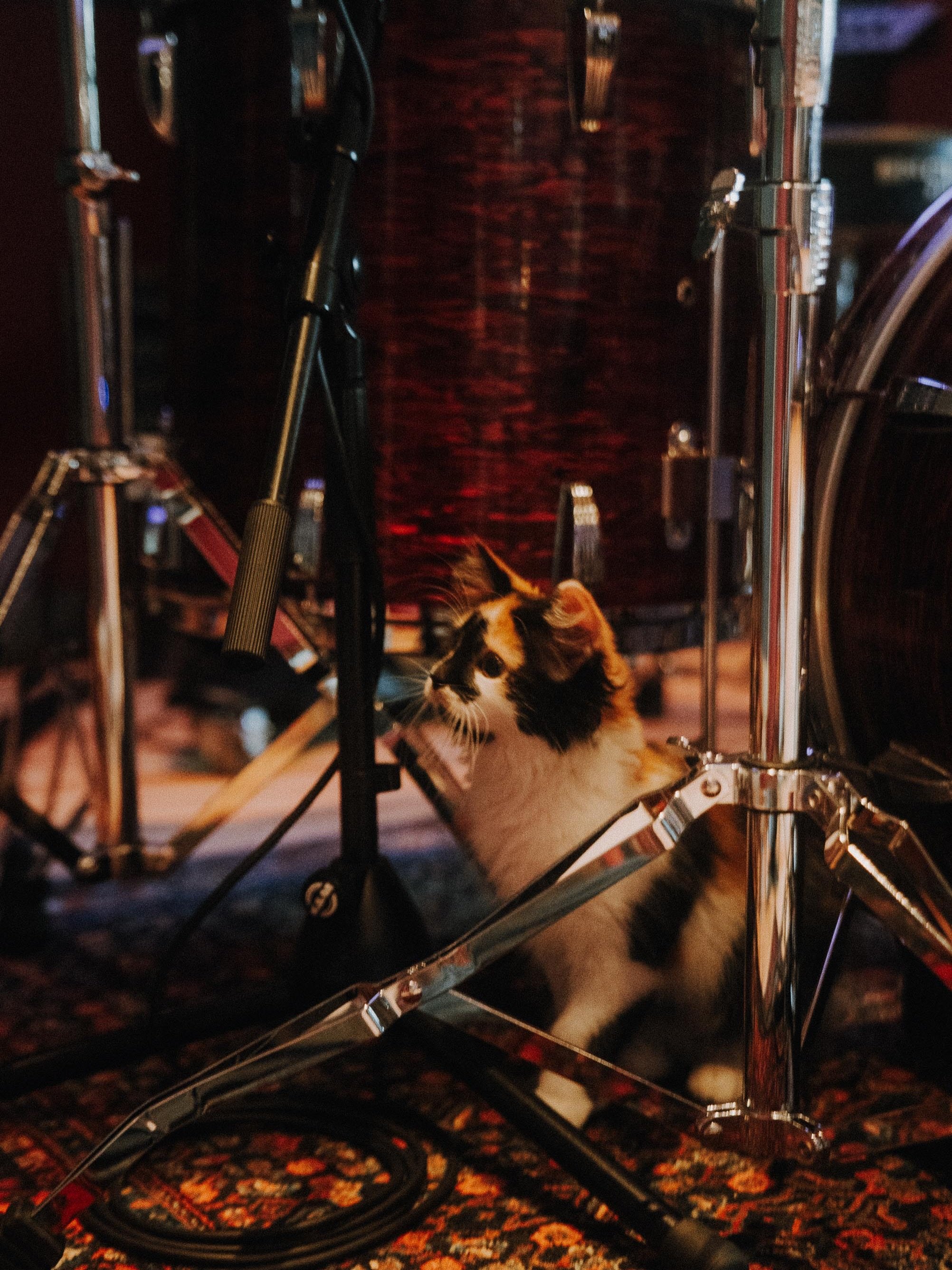 Straight from two festival shows into the studio to continue recording the next Spiral Drive album, the follow-up to Visions in Bloom.🔮

Bass &amp; drums are down. Now onto guitars, overdubs, percussion and vocals before we hit the mix. Can&rsquo;t 