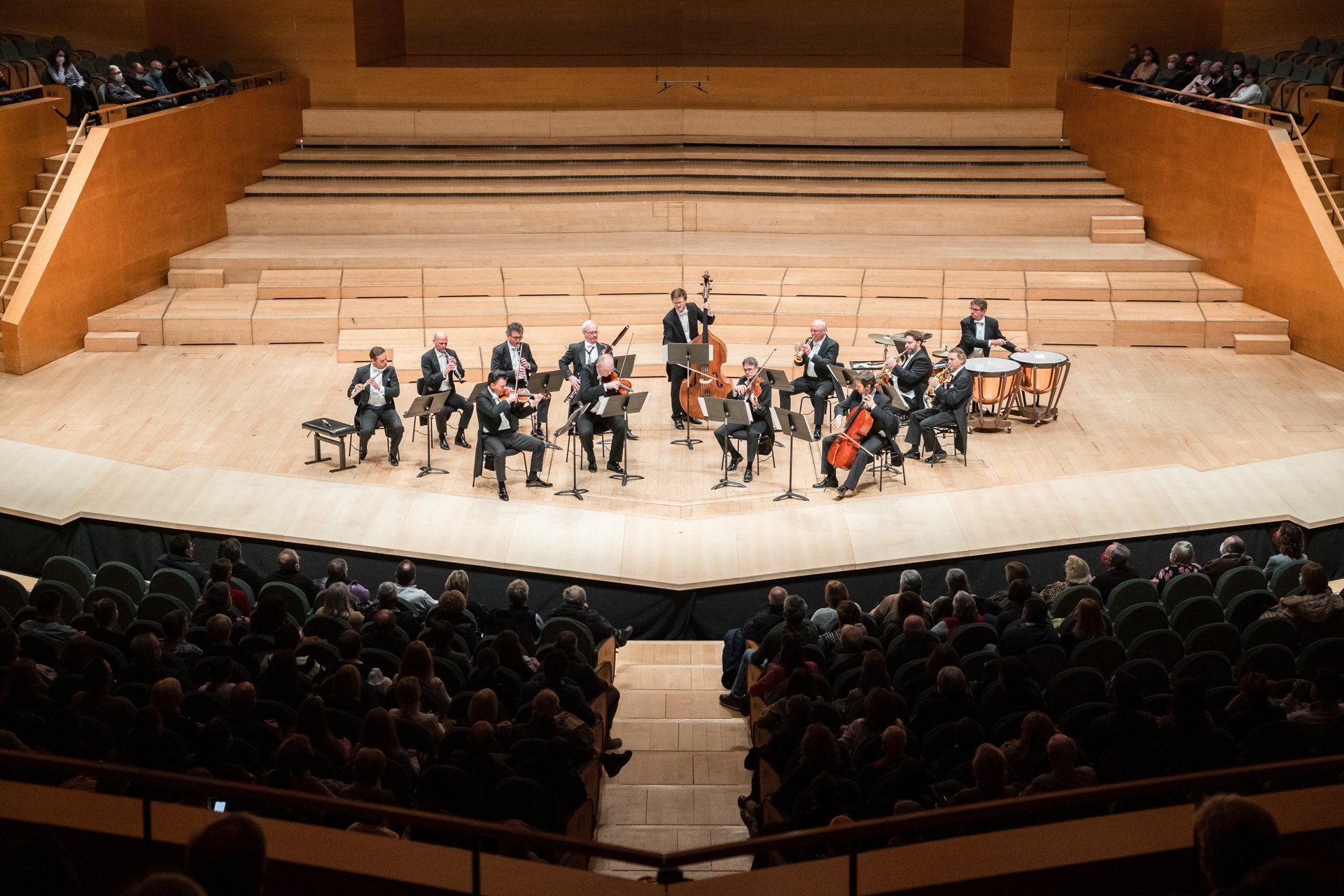 Philharmonic Ensemble for WEB-6.jpg