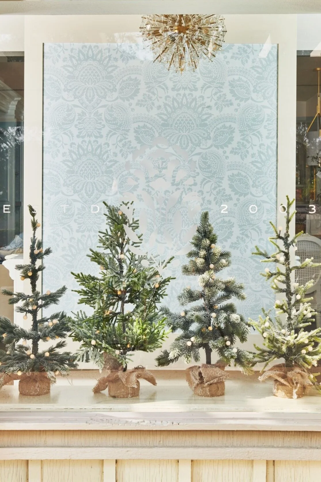 Christmas Gift Picks