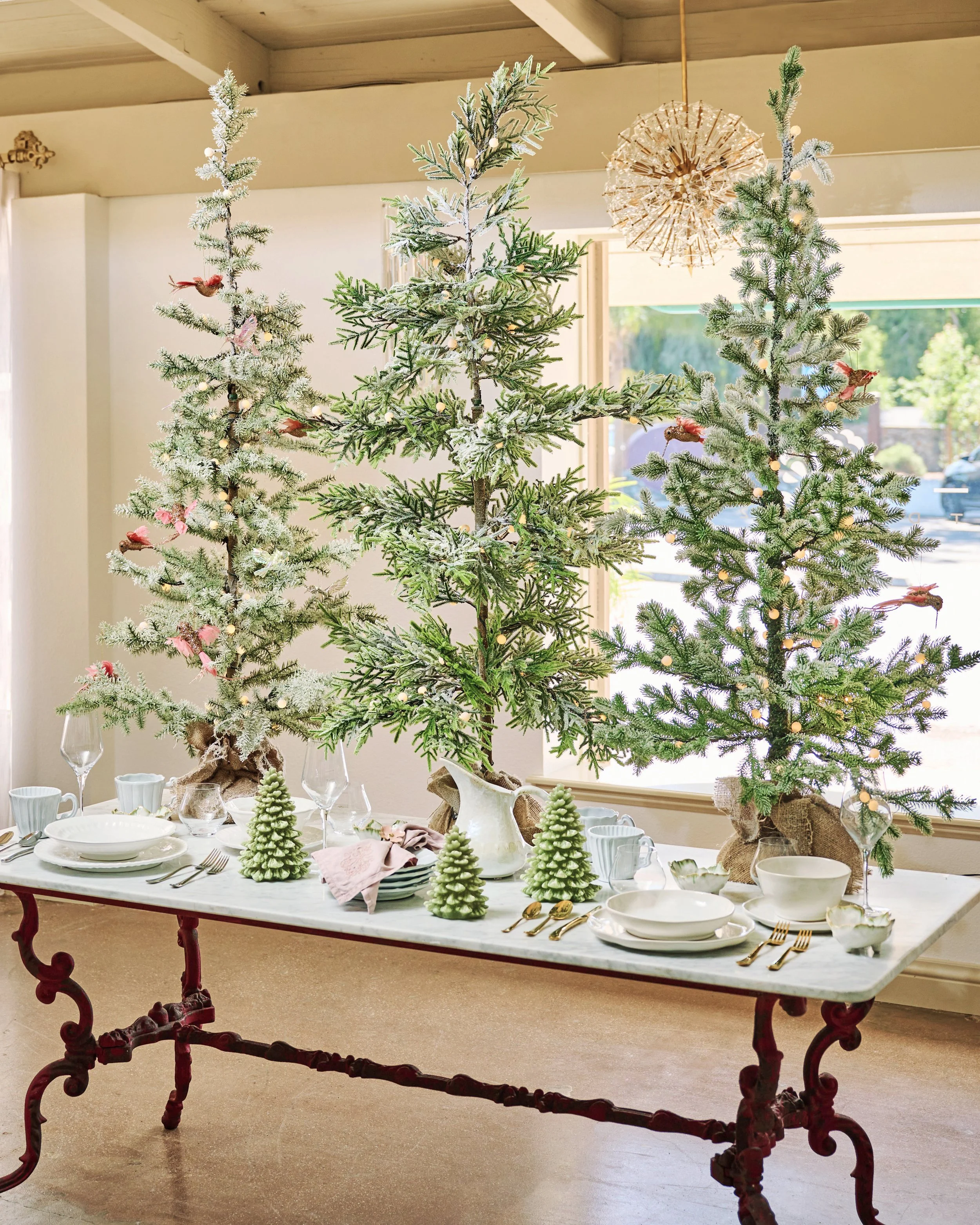 Home for the Holidays: Hosting Tips