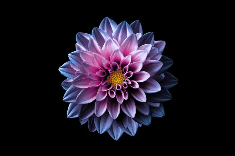 11- deeper creativity .jpg