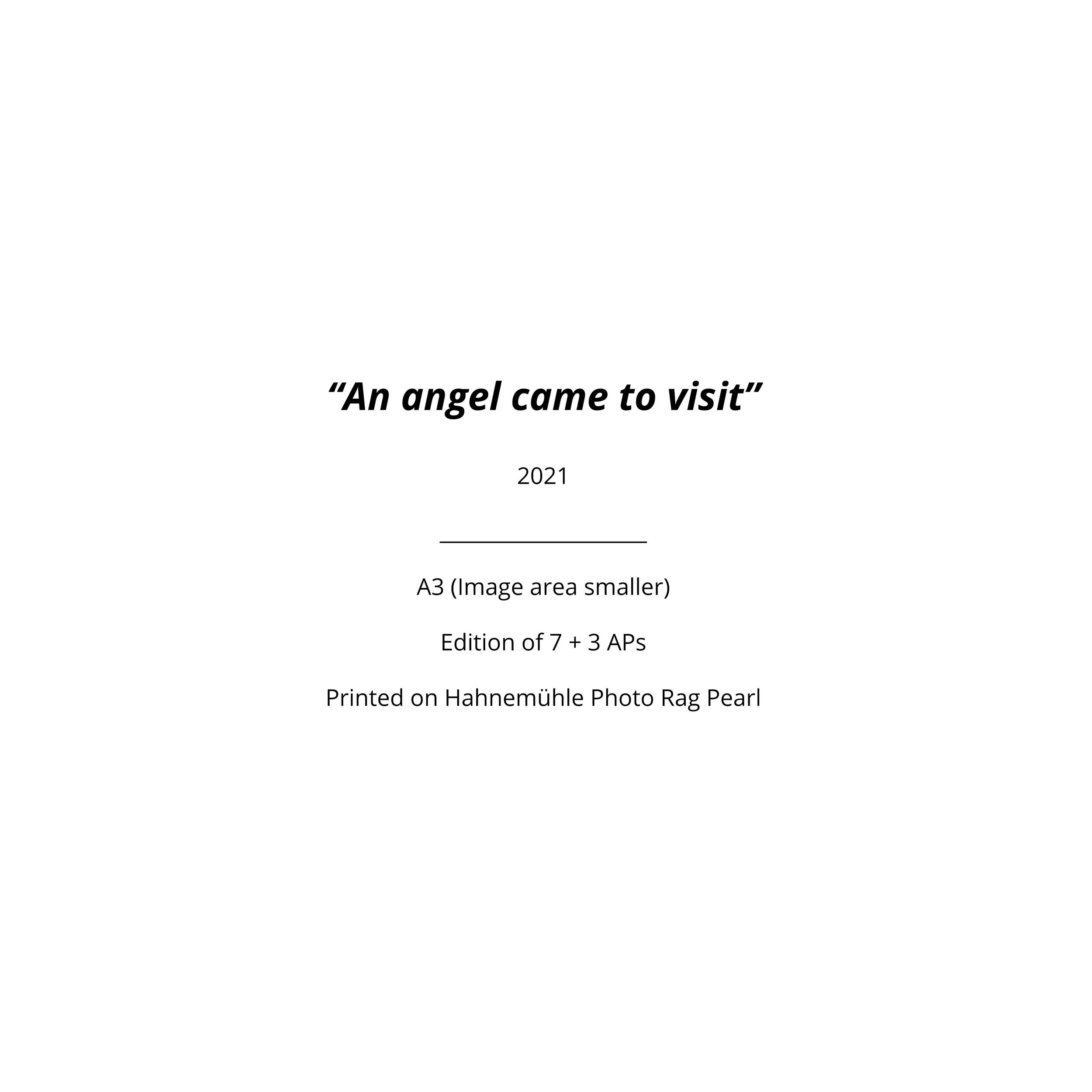 Website Text File 12 copy.jpg