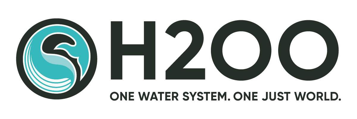 H2OO_New Logo2.png