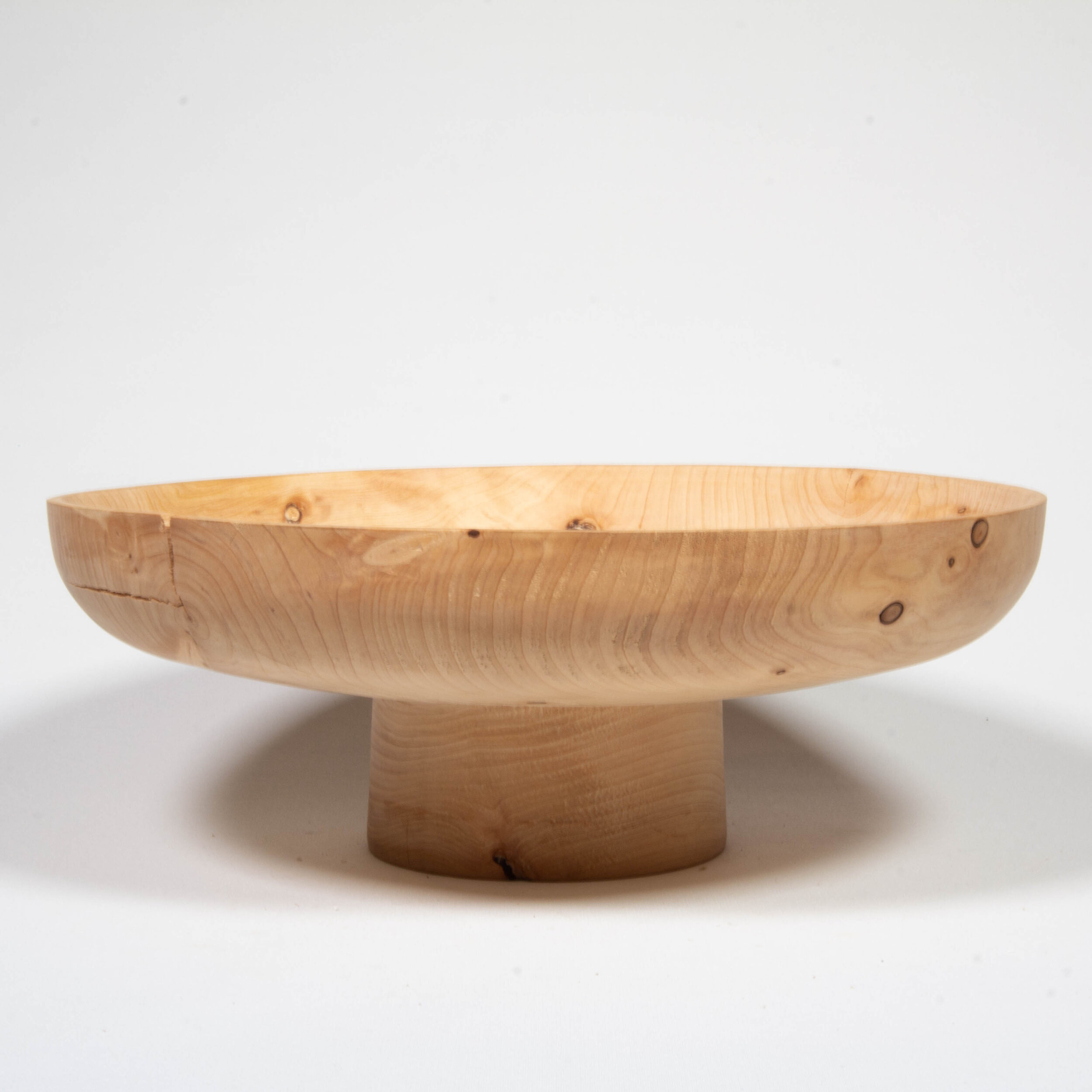 Japanese platter in conifer