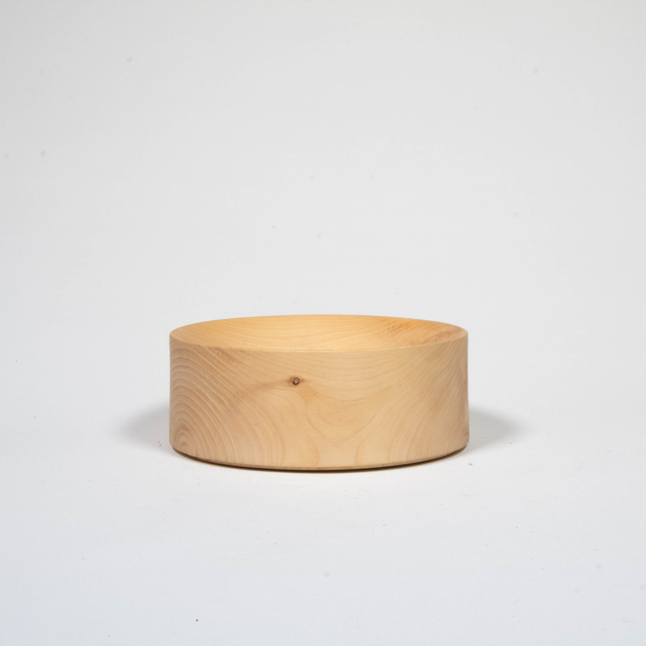 small presentation block in conifer