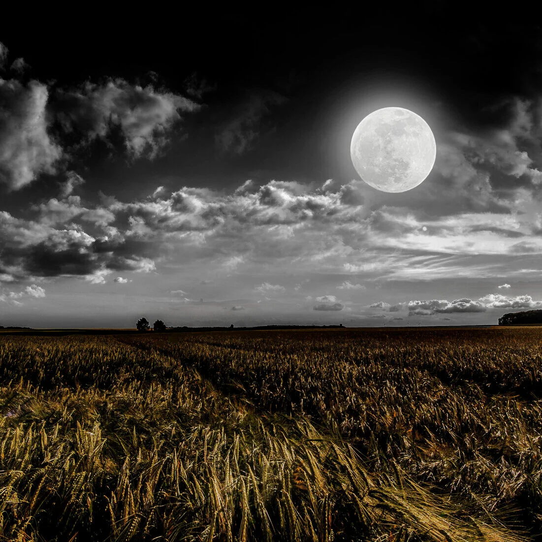 How Clearly Can You See Your Moonshot?