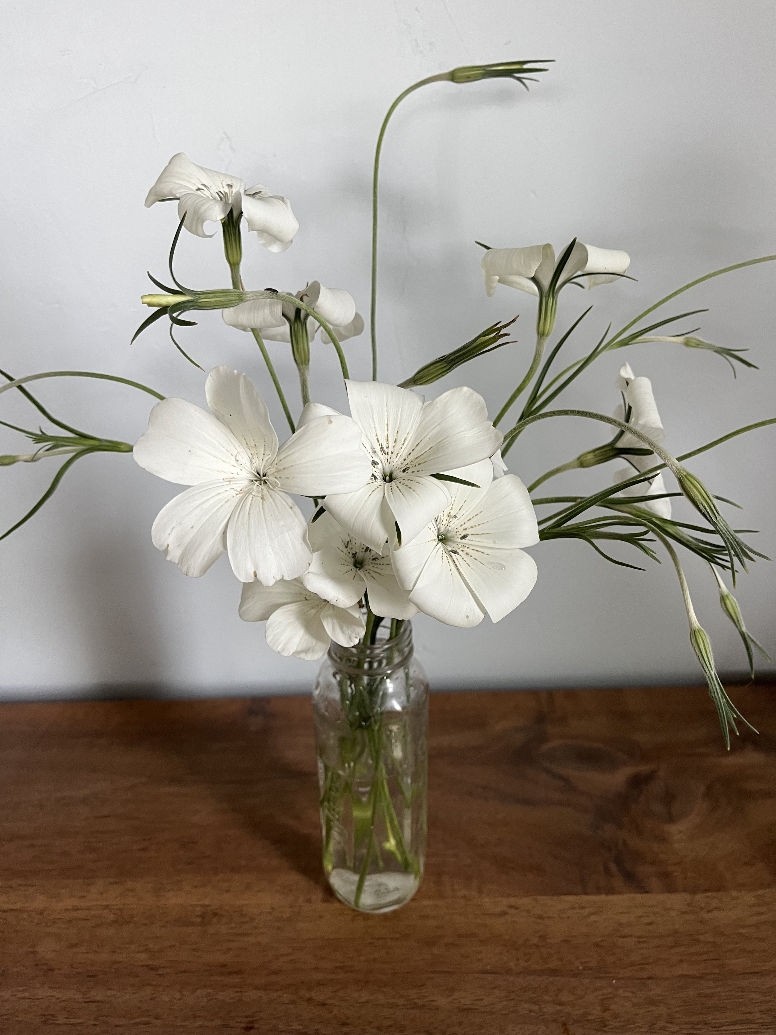 a bouquet of delicate white flowers