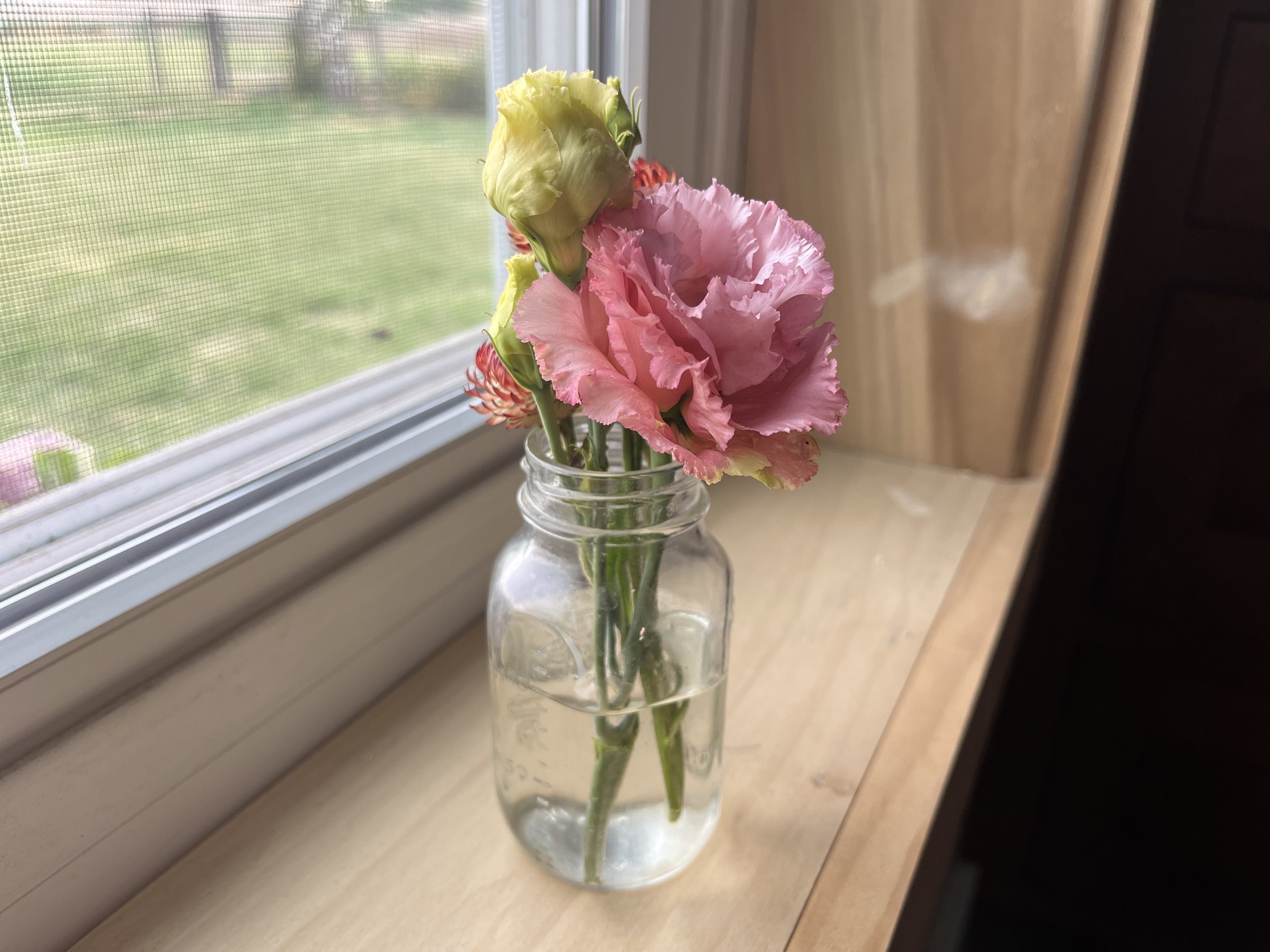 flowers in a bud vase on a window sill