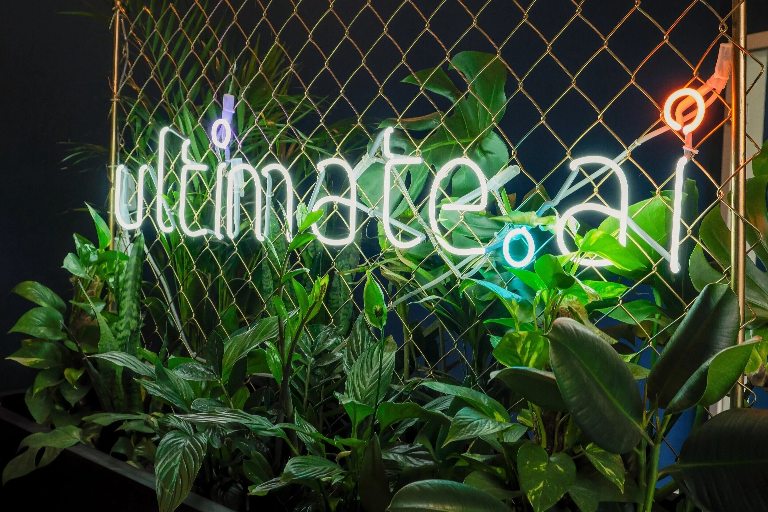 Grüne Büros: ultimate.ai