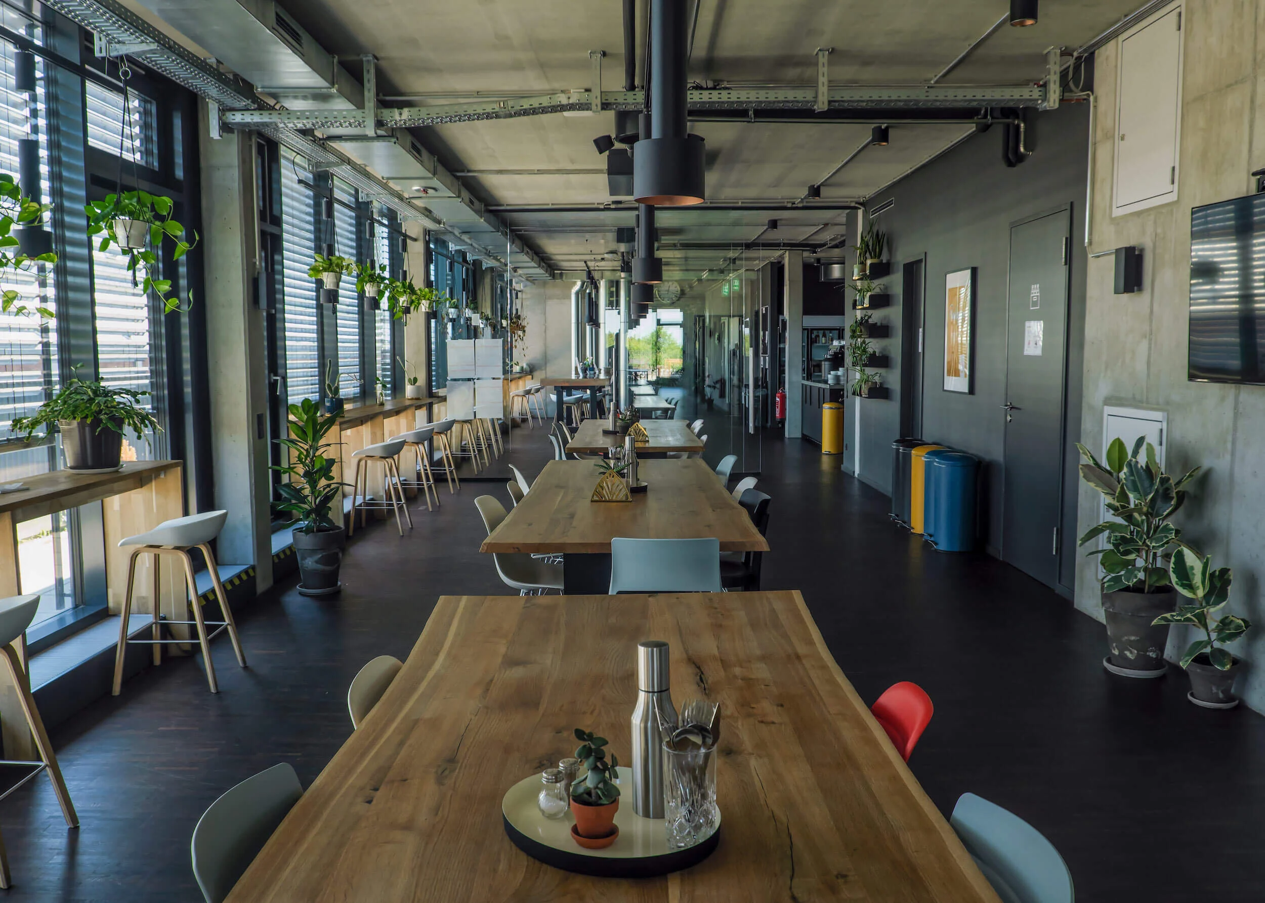 Grüne Büros: Bonial