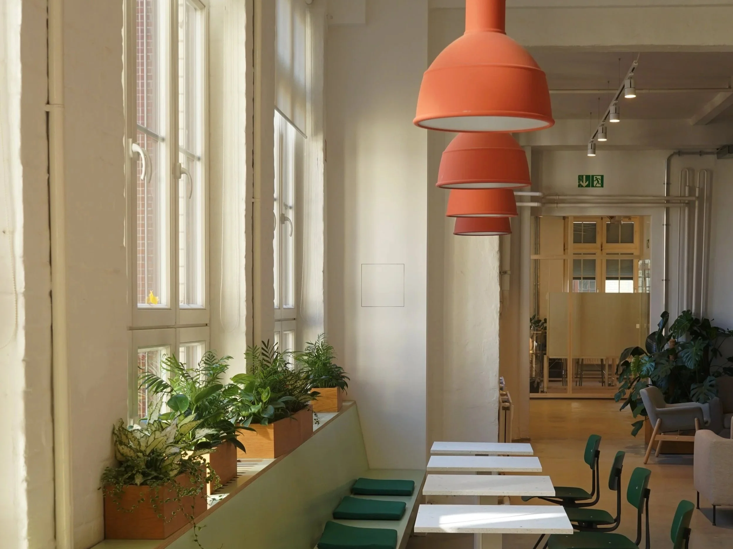 🪴Winter Office Plant Survival Guide: So hältst du deinen Arbeitsplatz grün