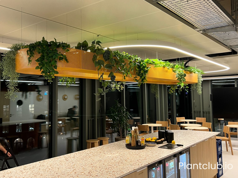 Begrünungssysteme für Arbeitswelten 2026: Integrierte Bürobegrünung, die langfristig funktioniert